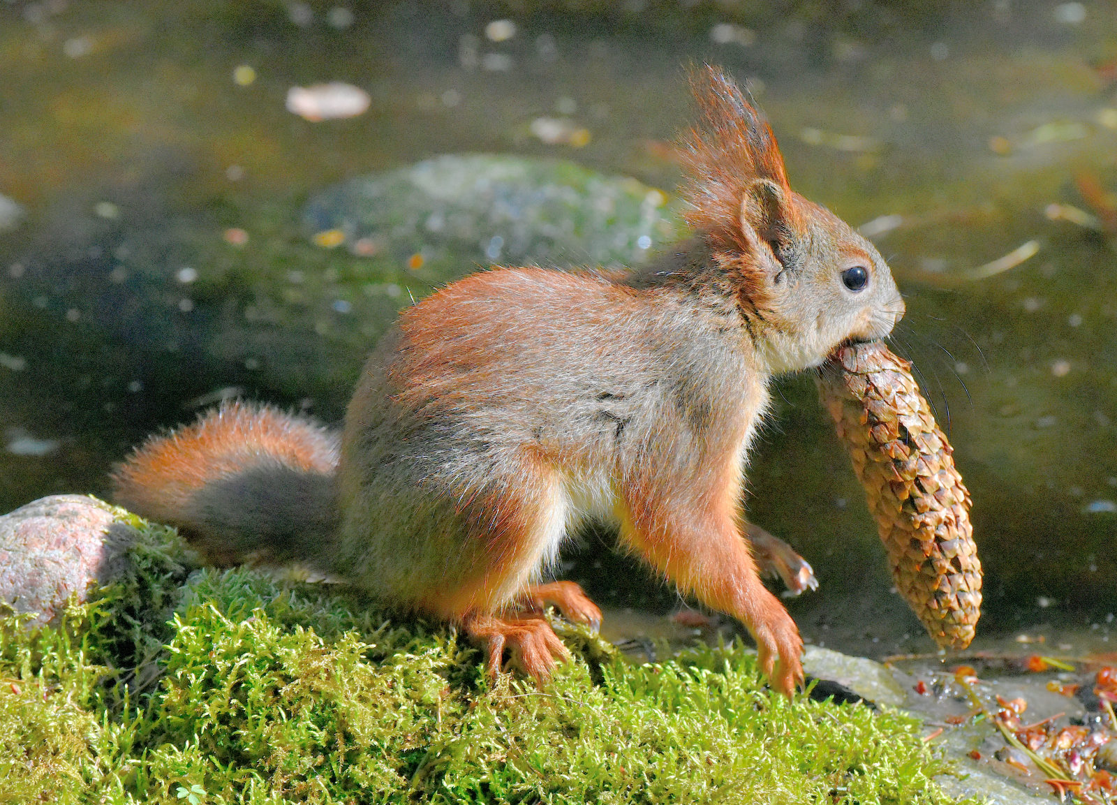 Valokuvaaja: Reijo Juurinen