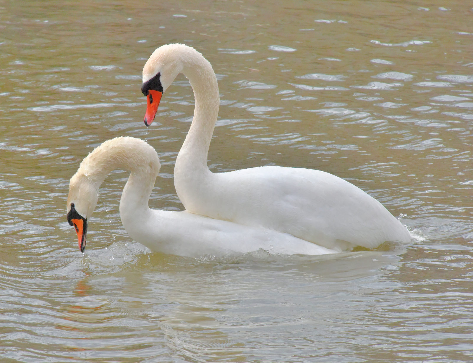 Valokuvaaja: Reijo Juurinen