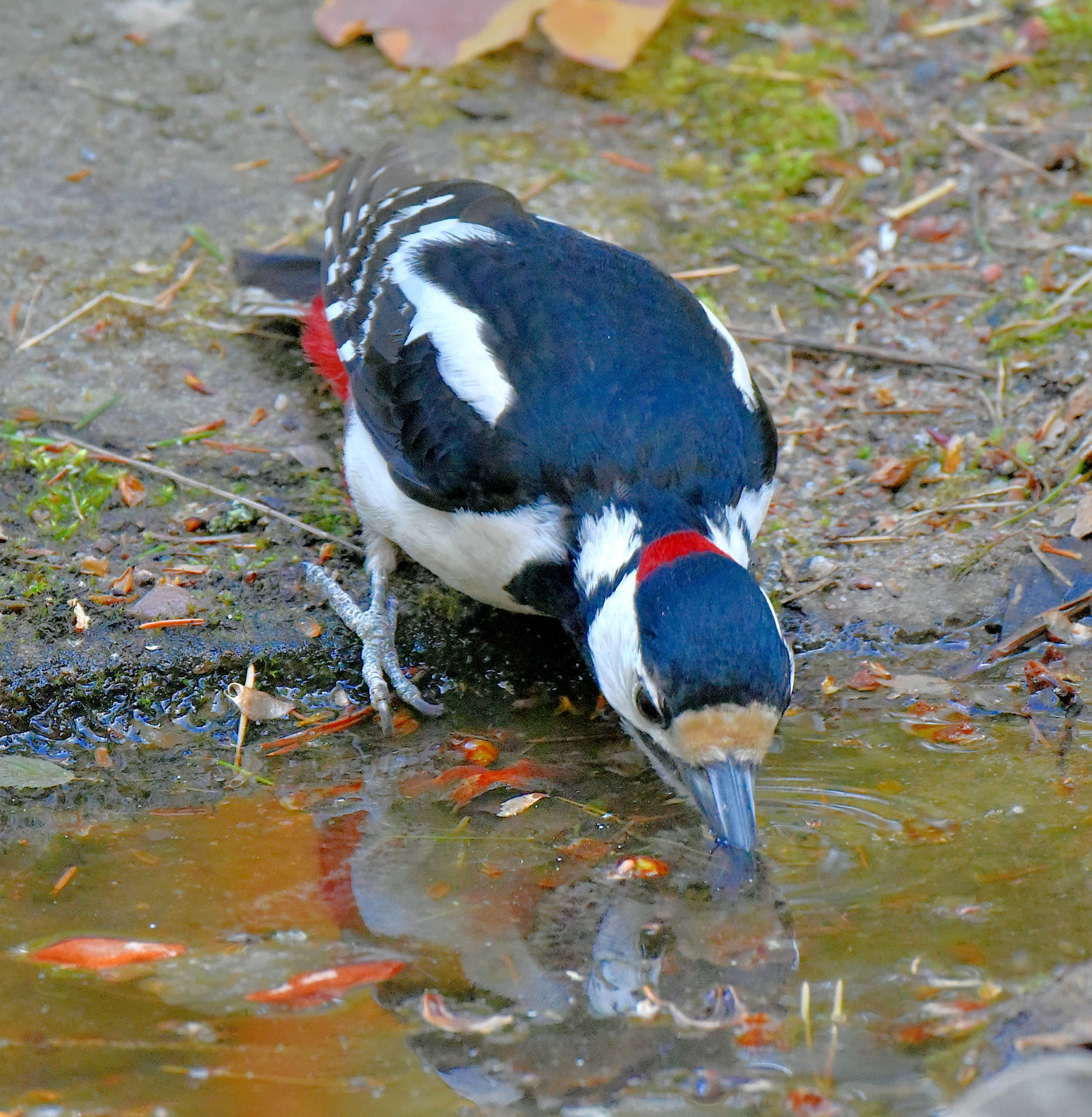 Valokuvaaja: Reijo Juurinen