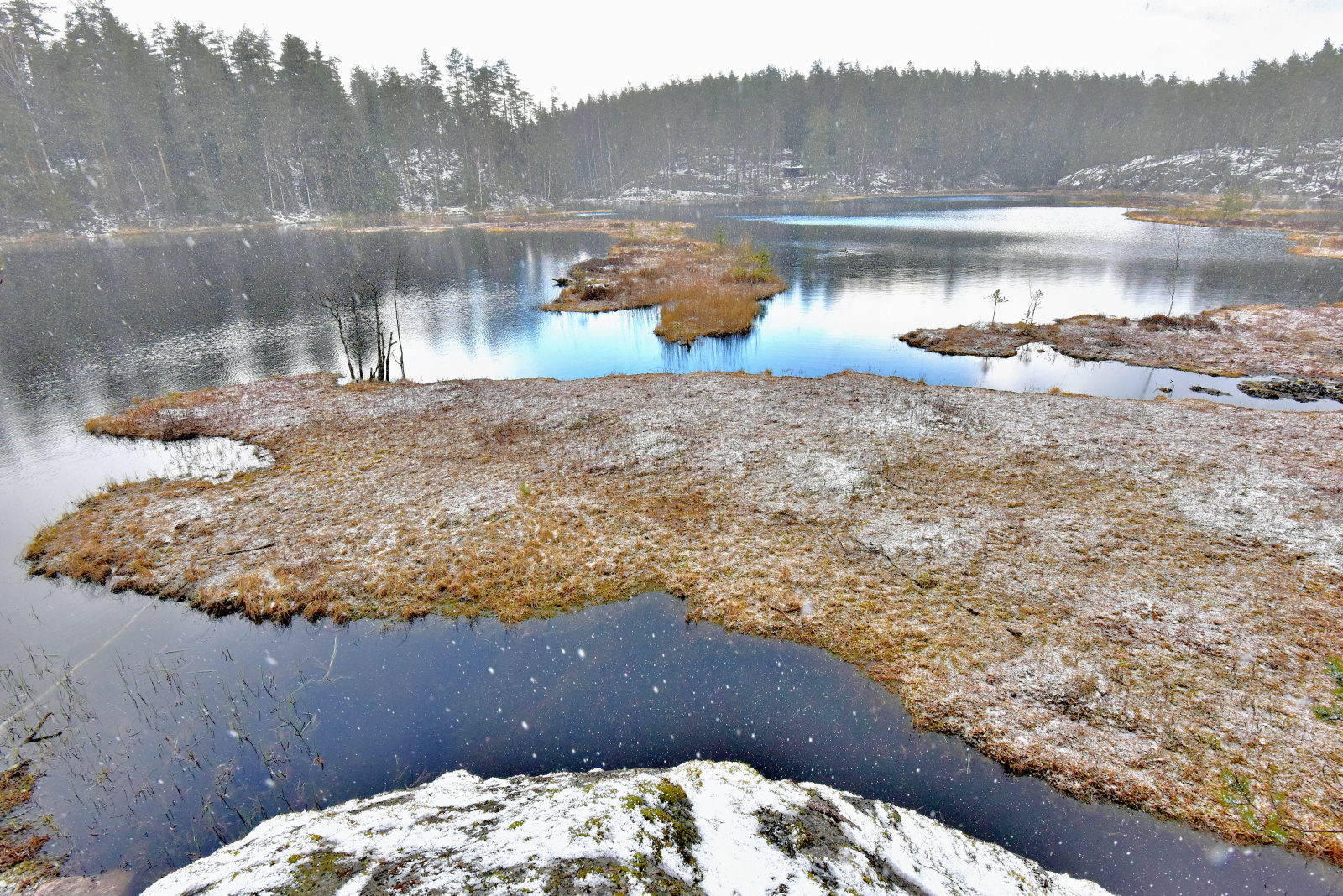 Valokuvaaja: Reijo Juurinen