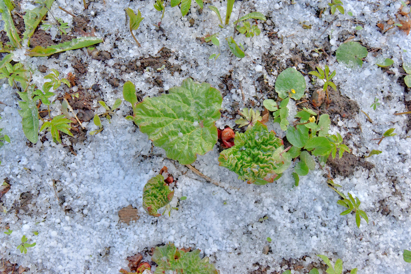 Valokuvaaja: Reijo Juurinen