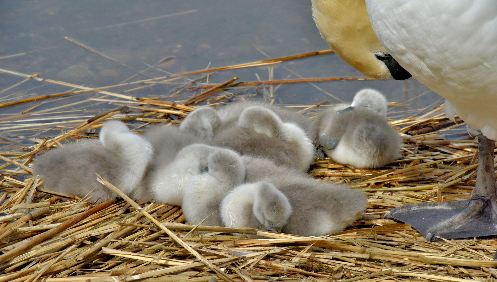 Valokuvaaja: Reijo Juurinen