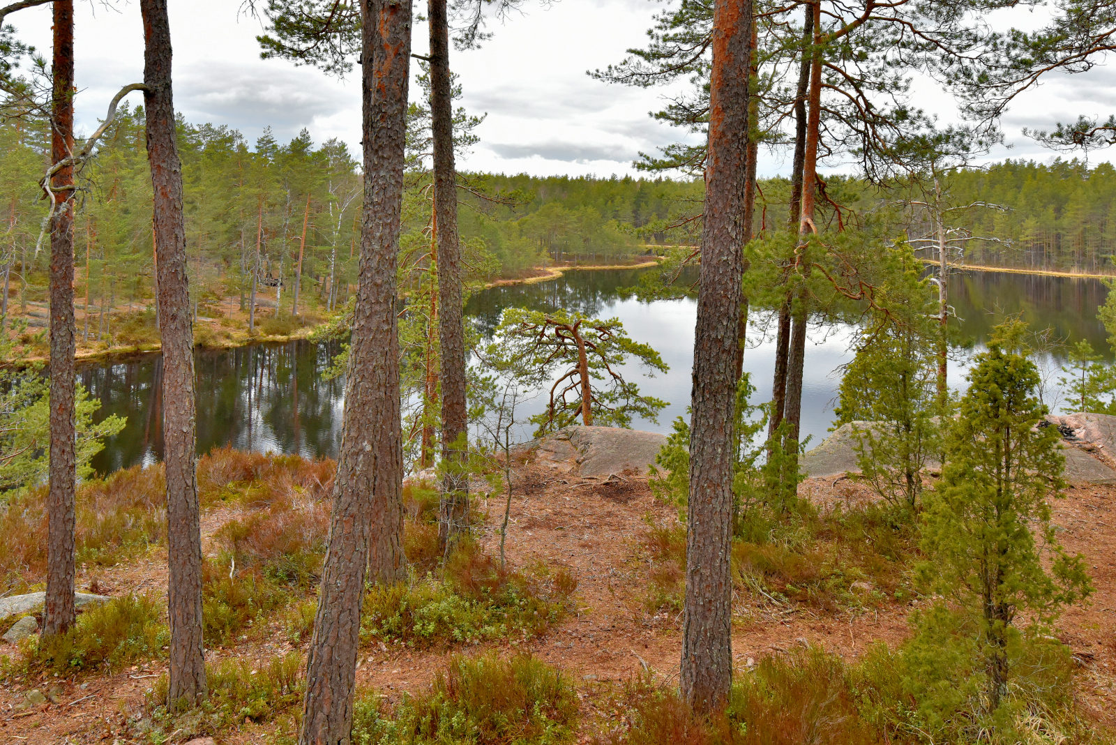 Valokuvaaja: Reijo Juurinen Valokuvaaja: Reijo Juurinen