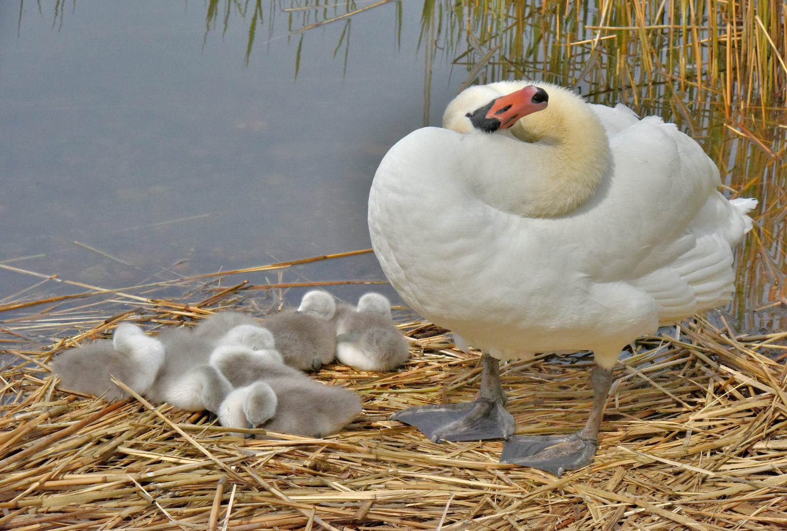 Valokuvaaja: Reijo Juurinen