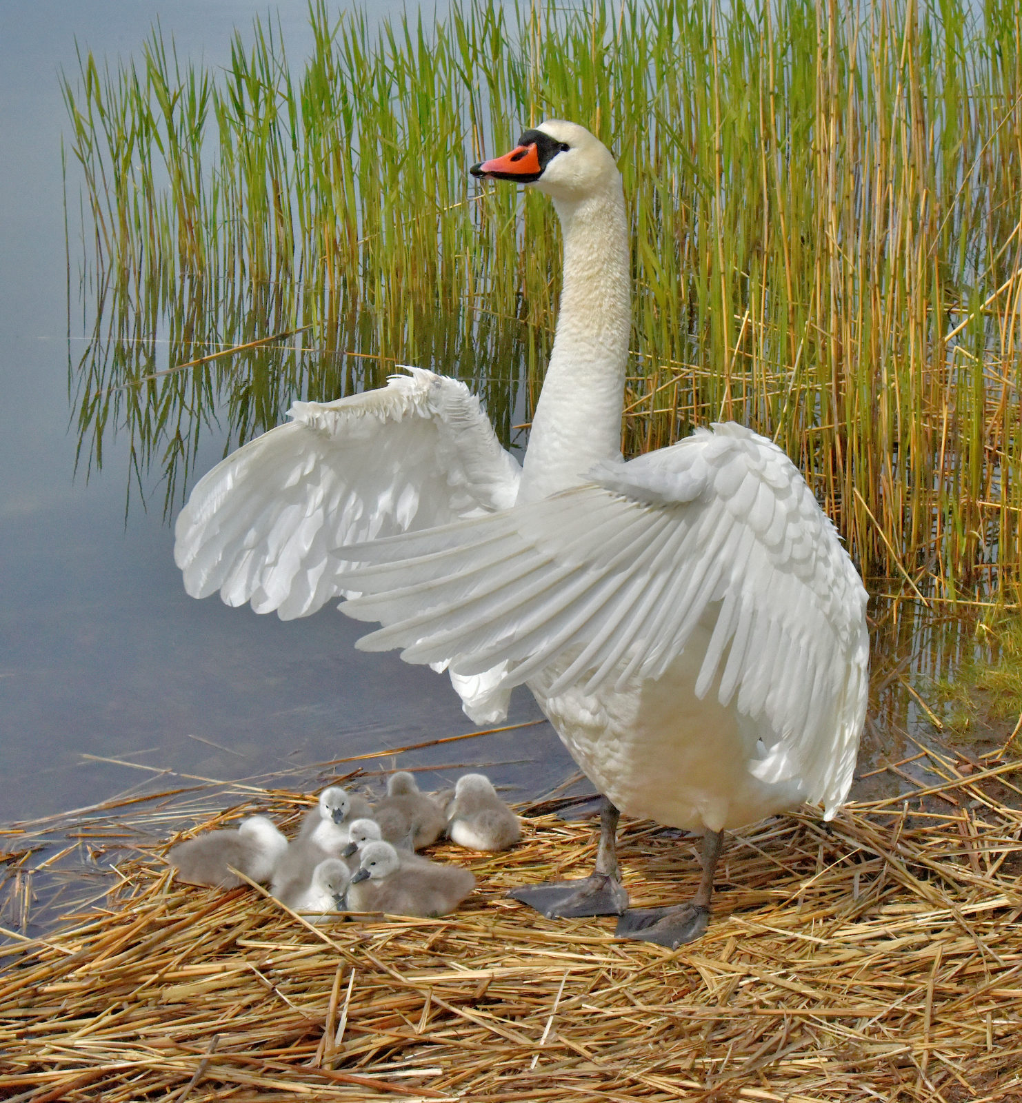 Valokuvaaja: Reijo Juurinen