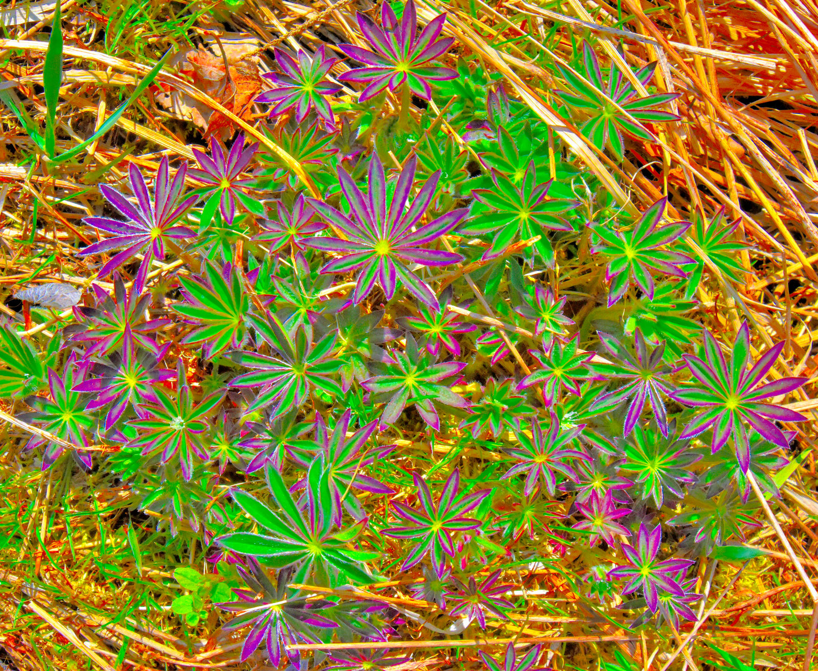 Valokuvaaja: Reijo Juurinen Valokuvaaja: Reijo Juurinen