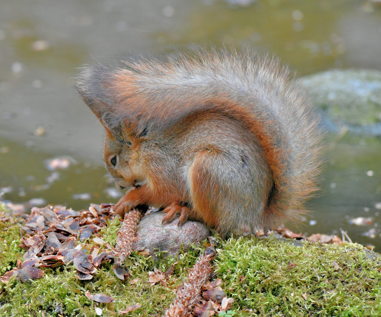 Valokuvaaja: Reijo Juurinen