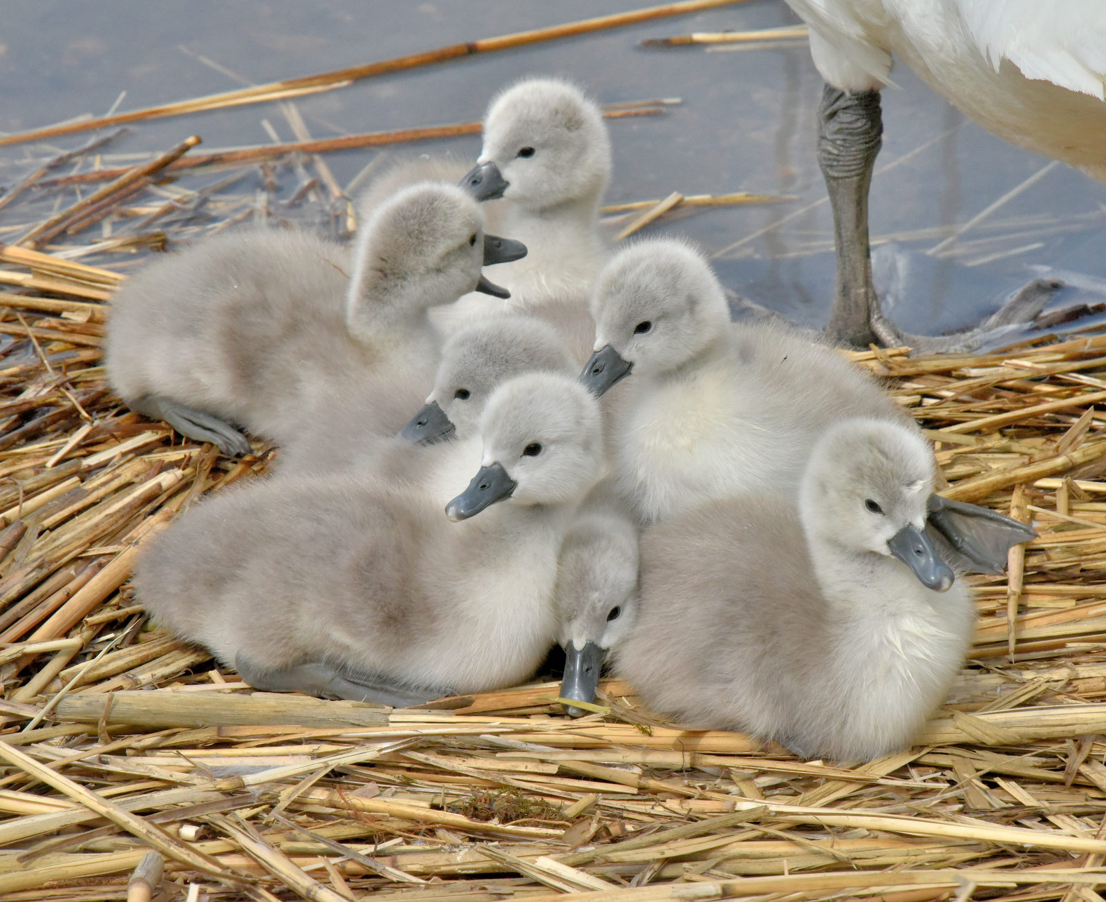 Valokuvaaja: Reijo Juurinen