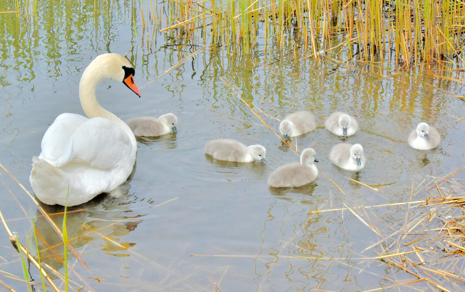 Valokuvaaja: Reijo Juurinen