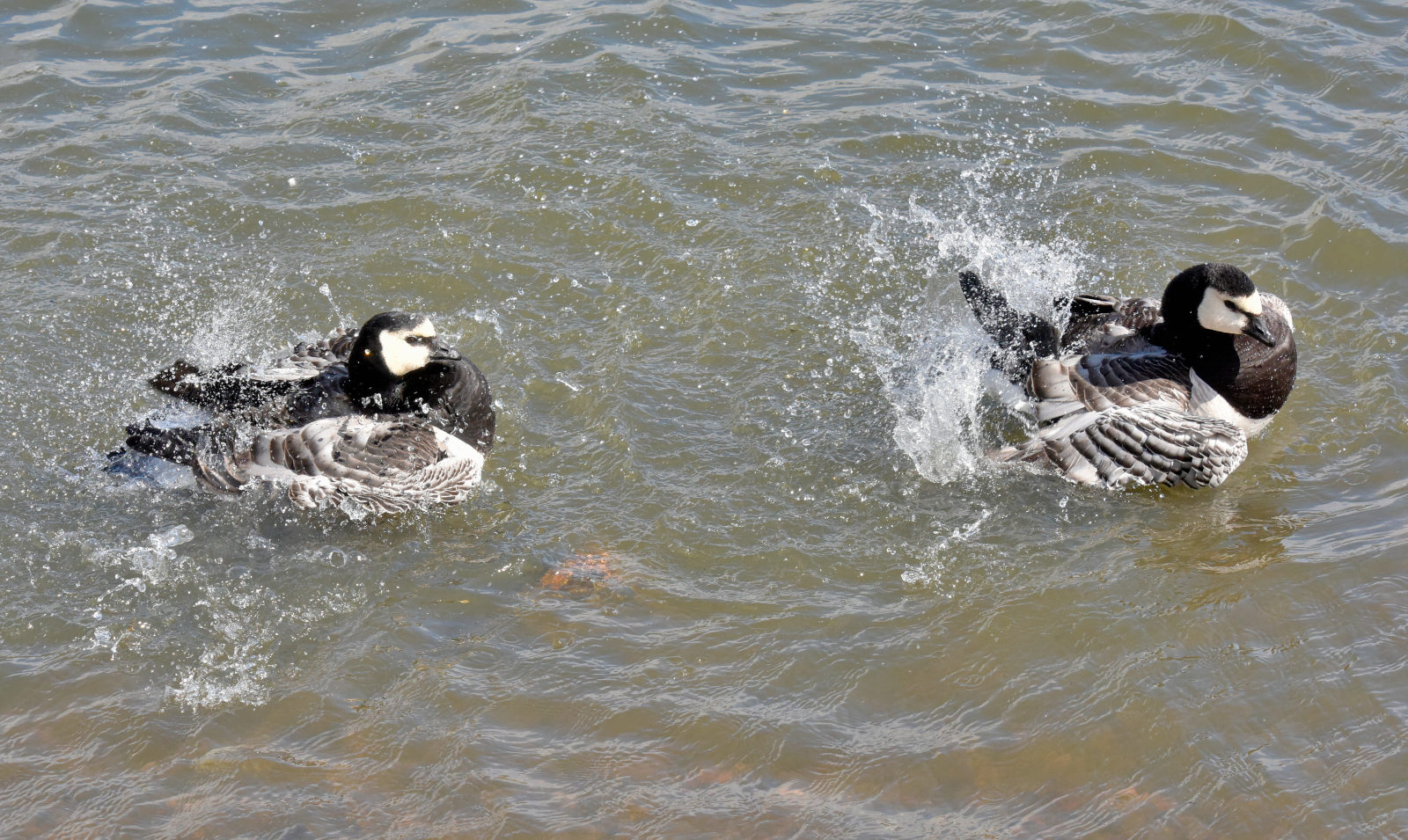 Valokuvaaja: Reijo Juurinen