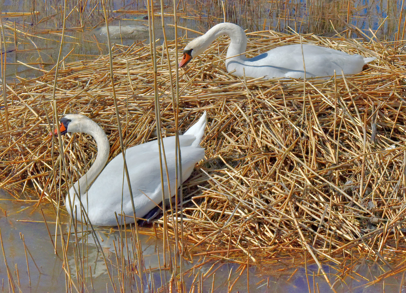 Valokuvaaja: Reijo Juurinen Valokuvaaja: Reijo Juurinen