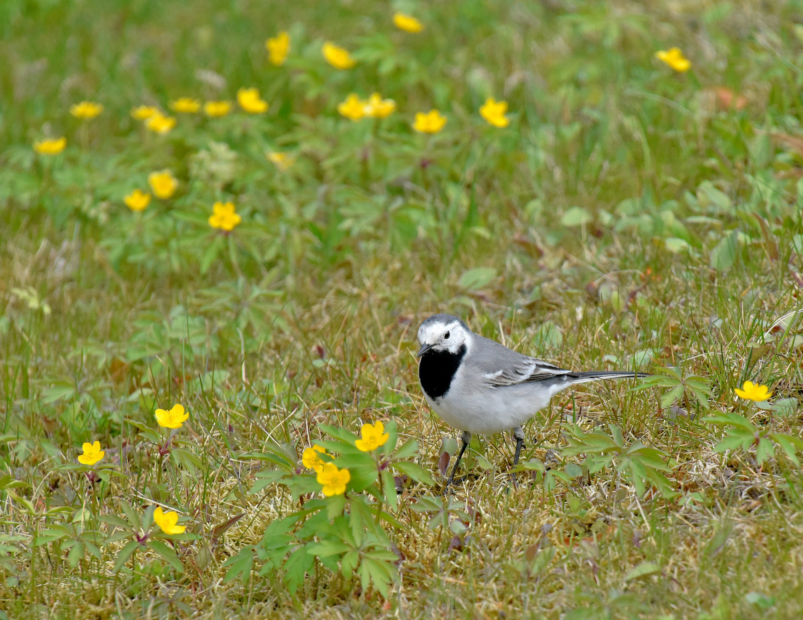 Valokuvaaja: Reijo Juurinen