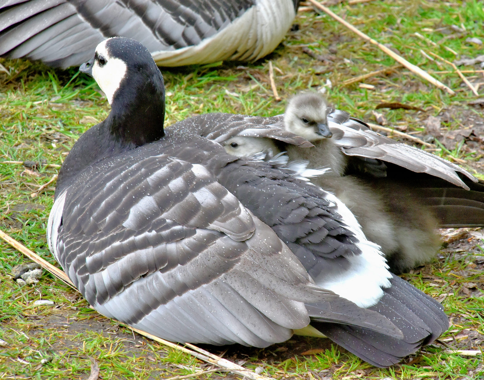 Valokuvaaja: Reijo Juurinen