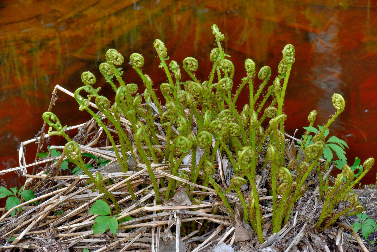 Valokuvaaja: Reijo Juurinen