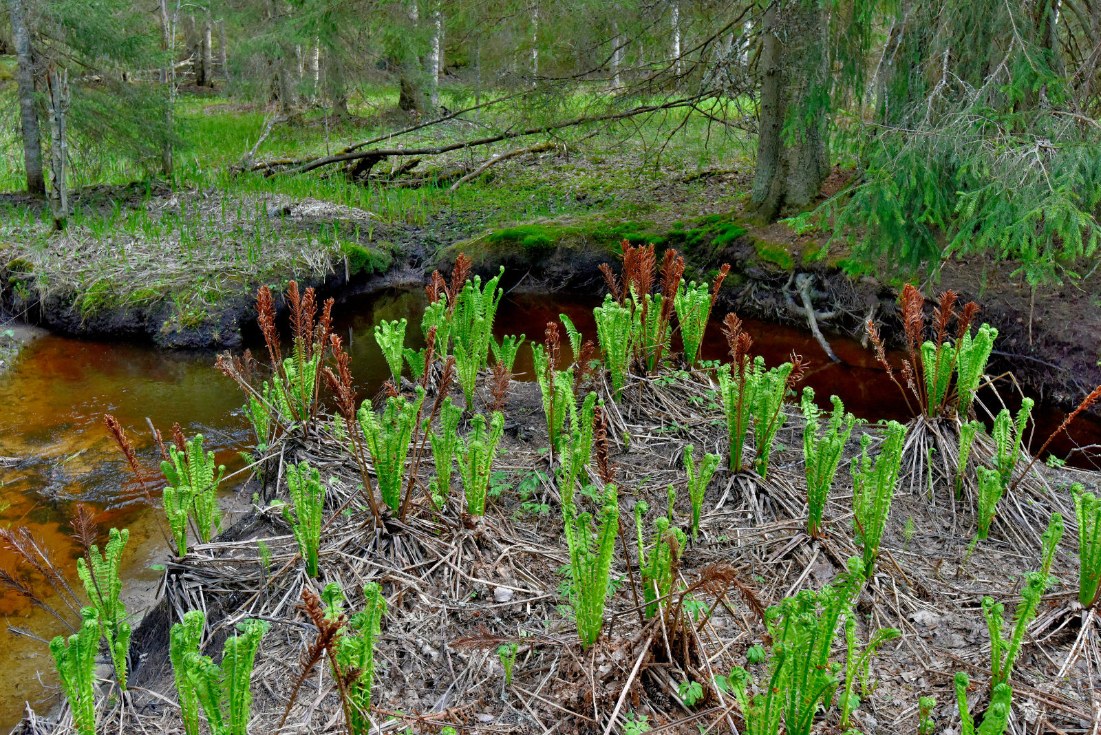 Valokuvaaja: Reijo Juurinen
