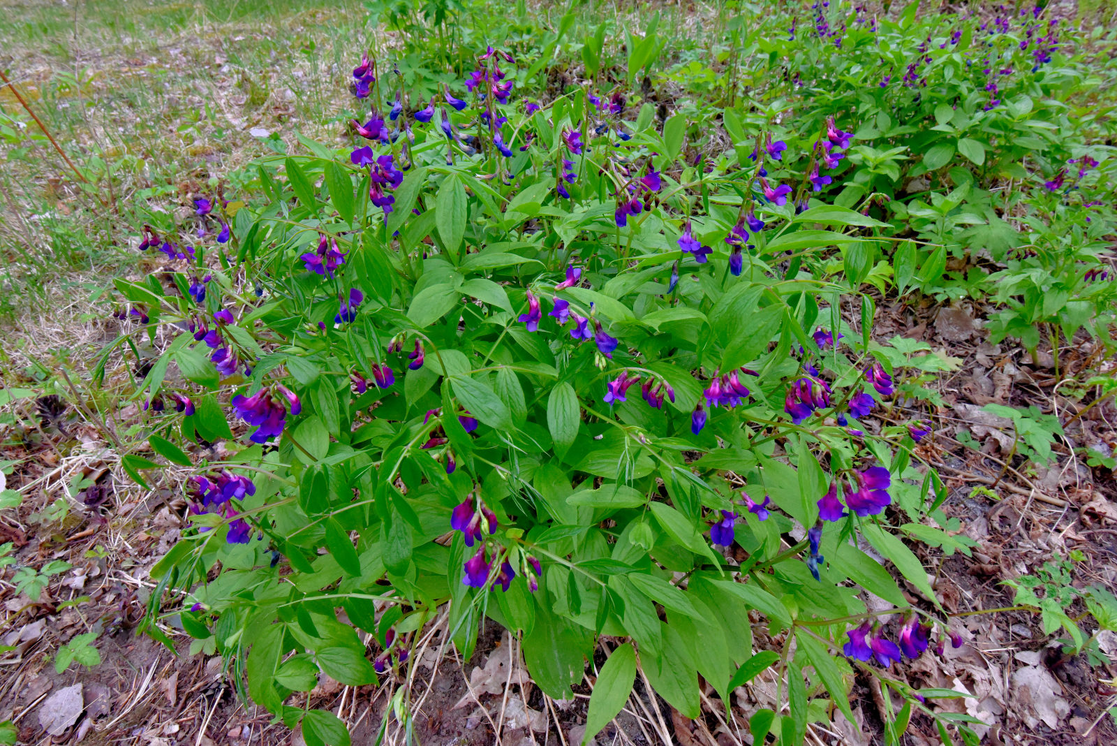 Valokuvaaja: Reijo Juurinen