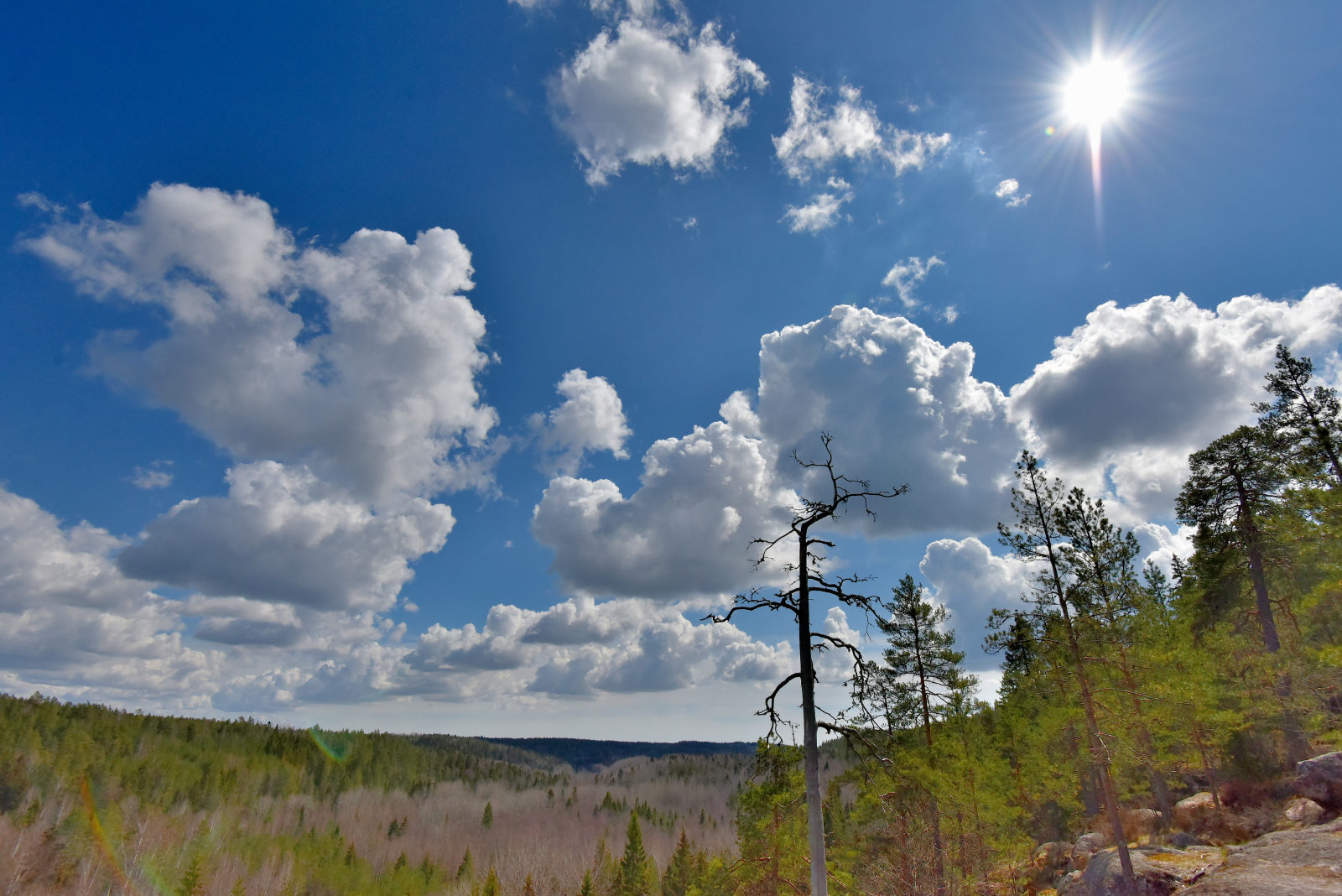 Valokuvaaja: Reijo Juurinen