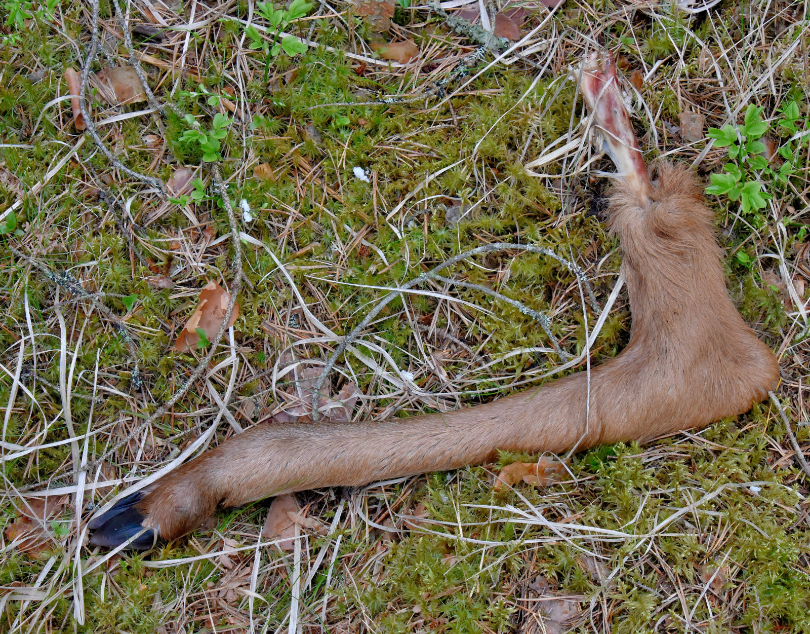 Valokuvaaja: Reijo Juurinen
