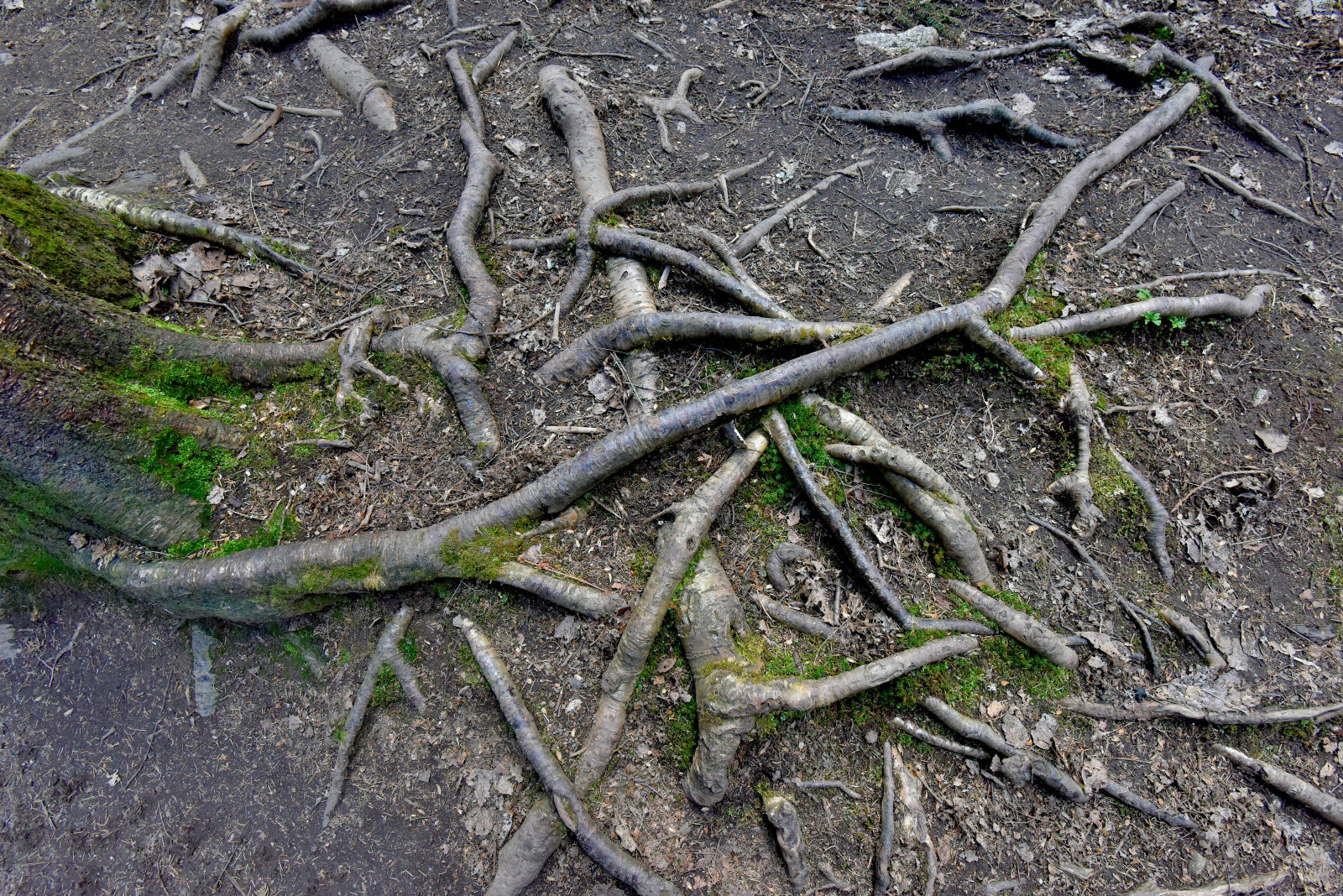 Valokuvaaja: Reijo Juurinen