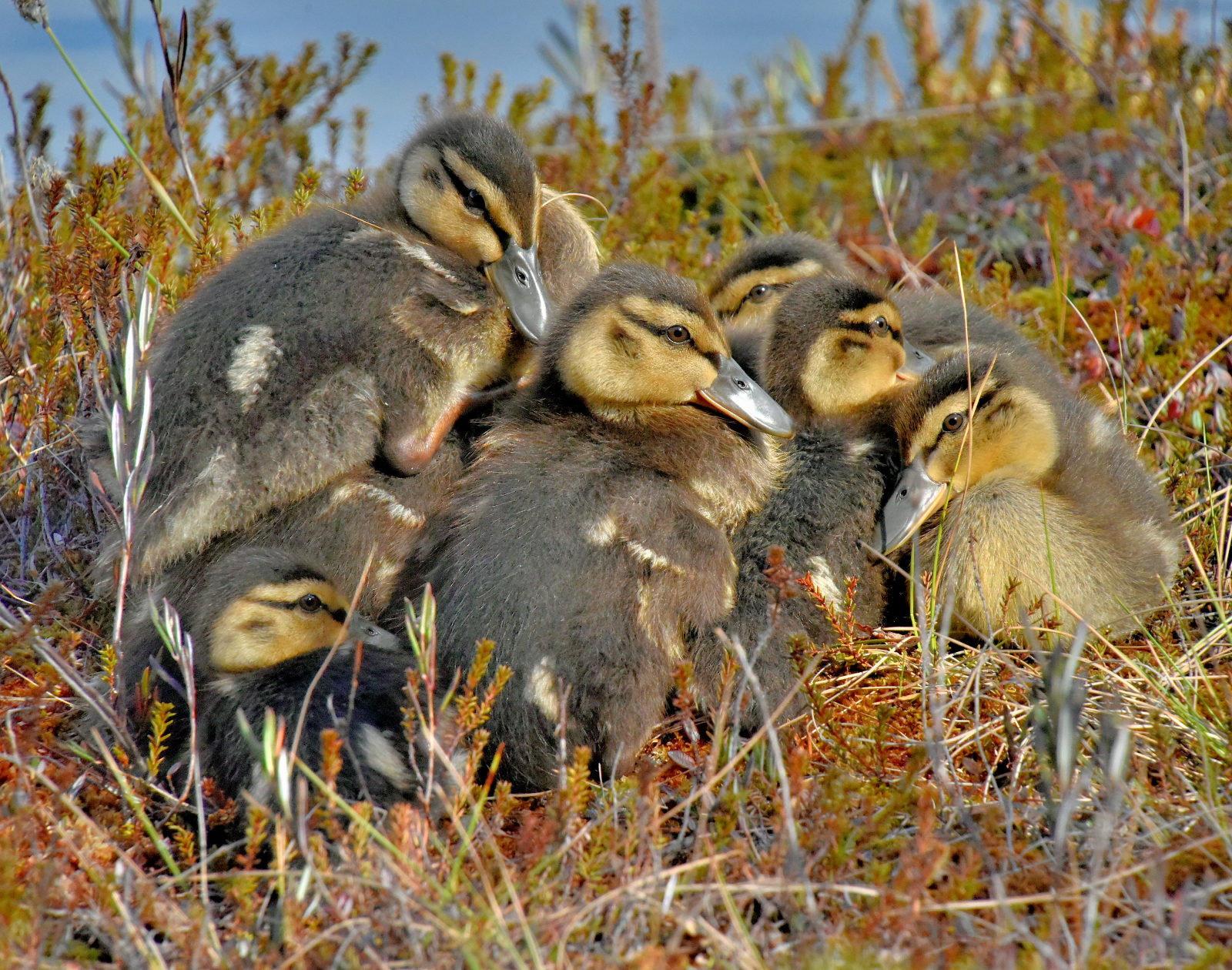 Valokuvaaja: Reijo Juurinen