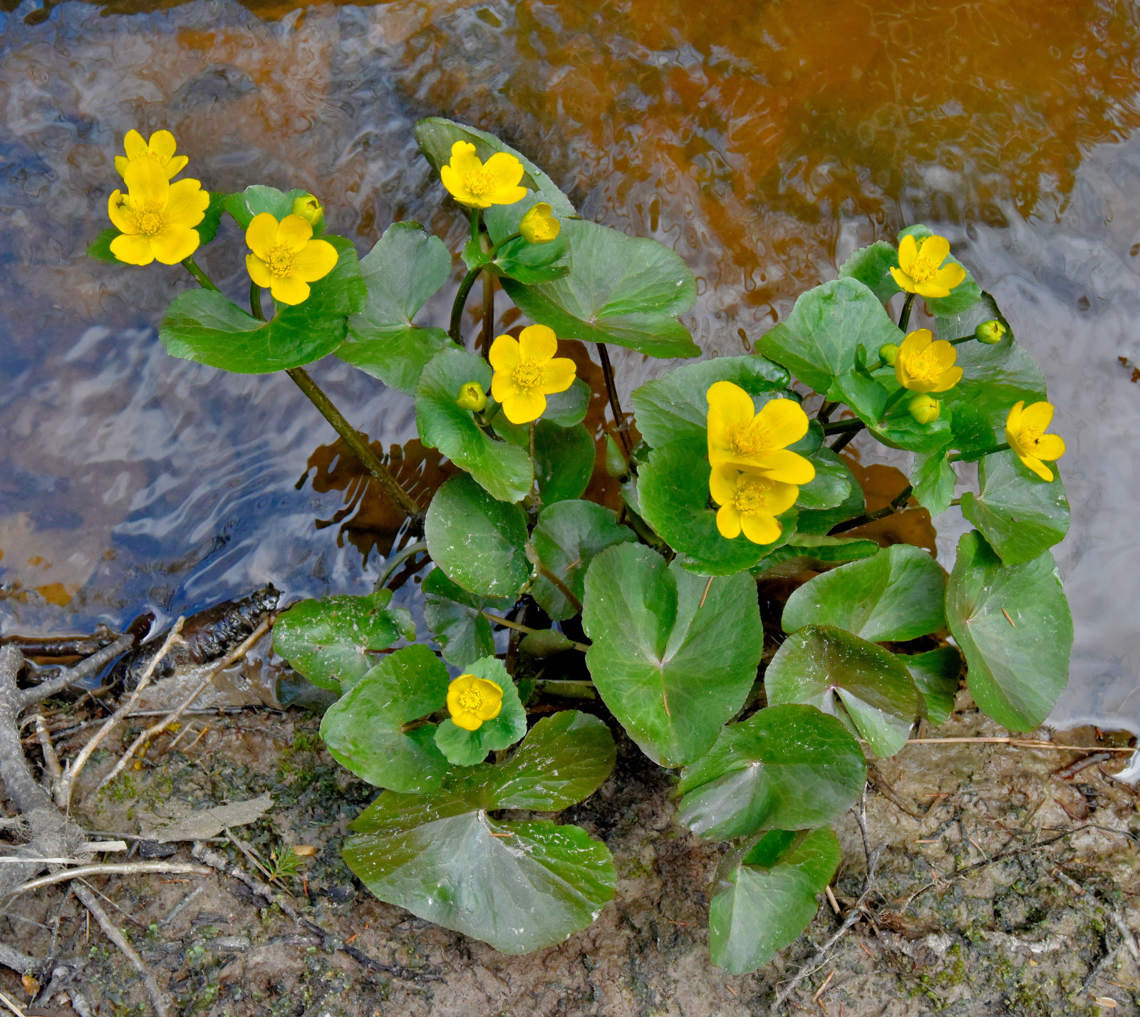Valokuvaaja: Reijo Juurinen