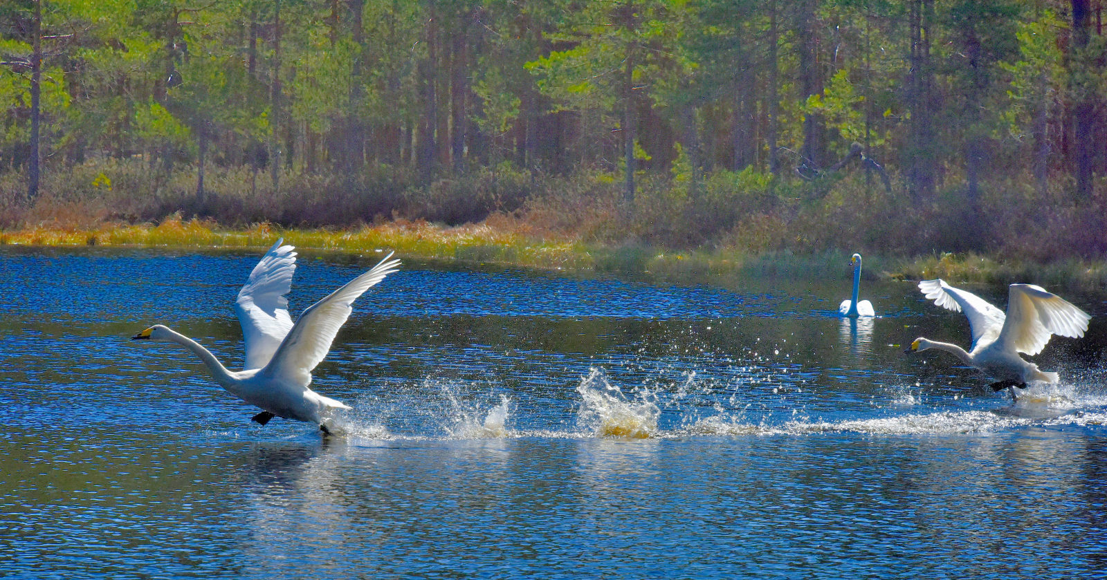 Valokuvaaja: Reijo Juurinen