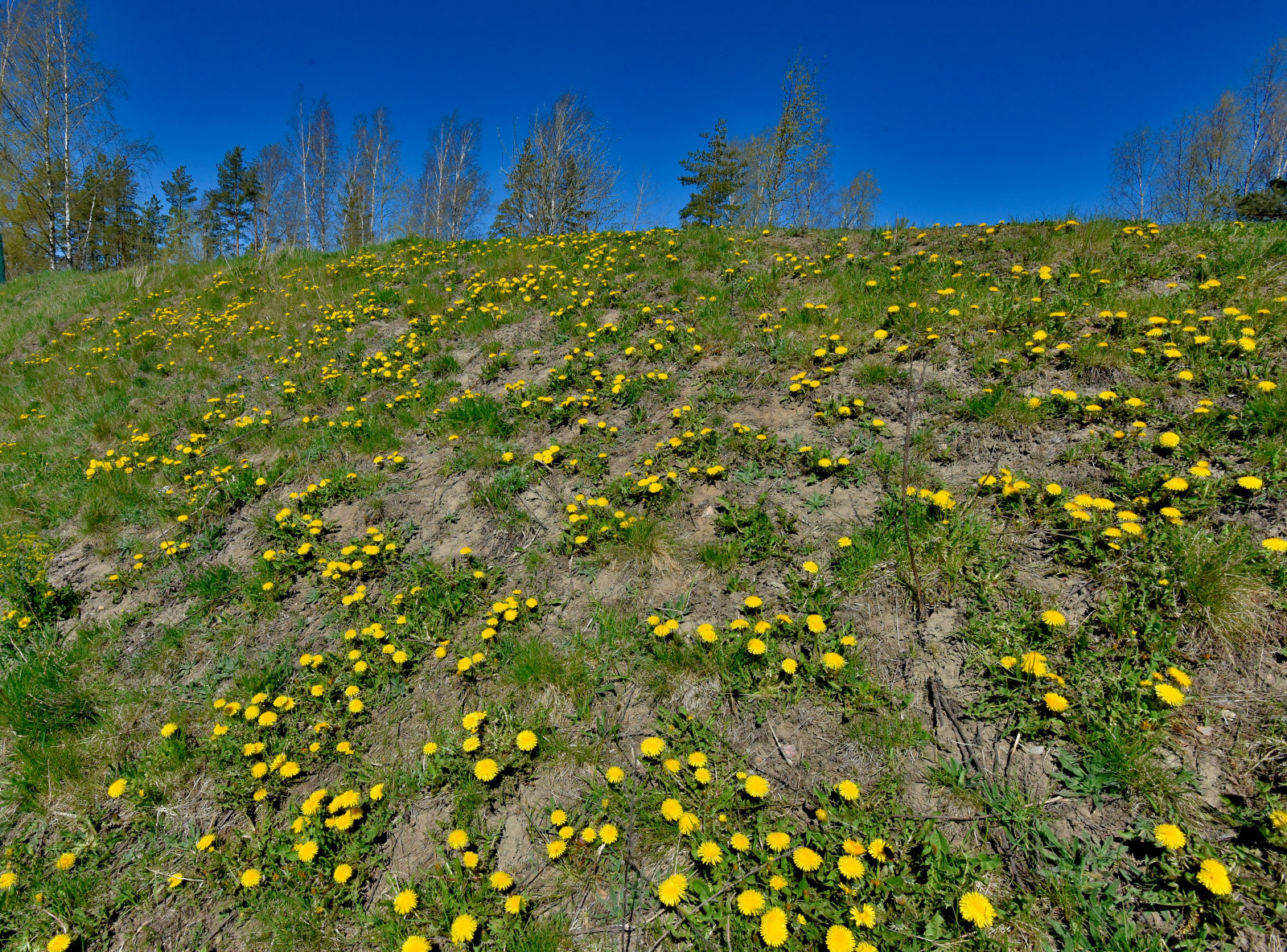 Valokuvaaja: Reijo Juurinen
