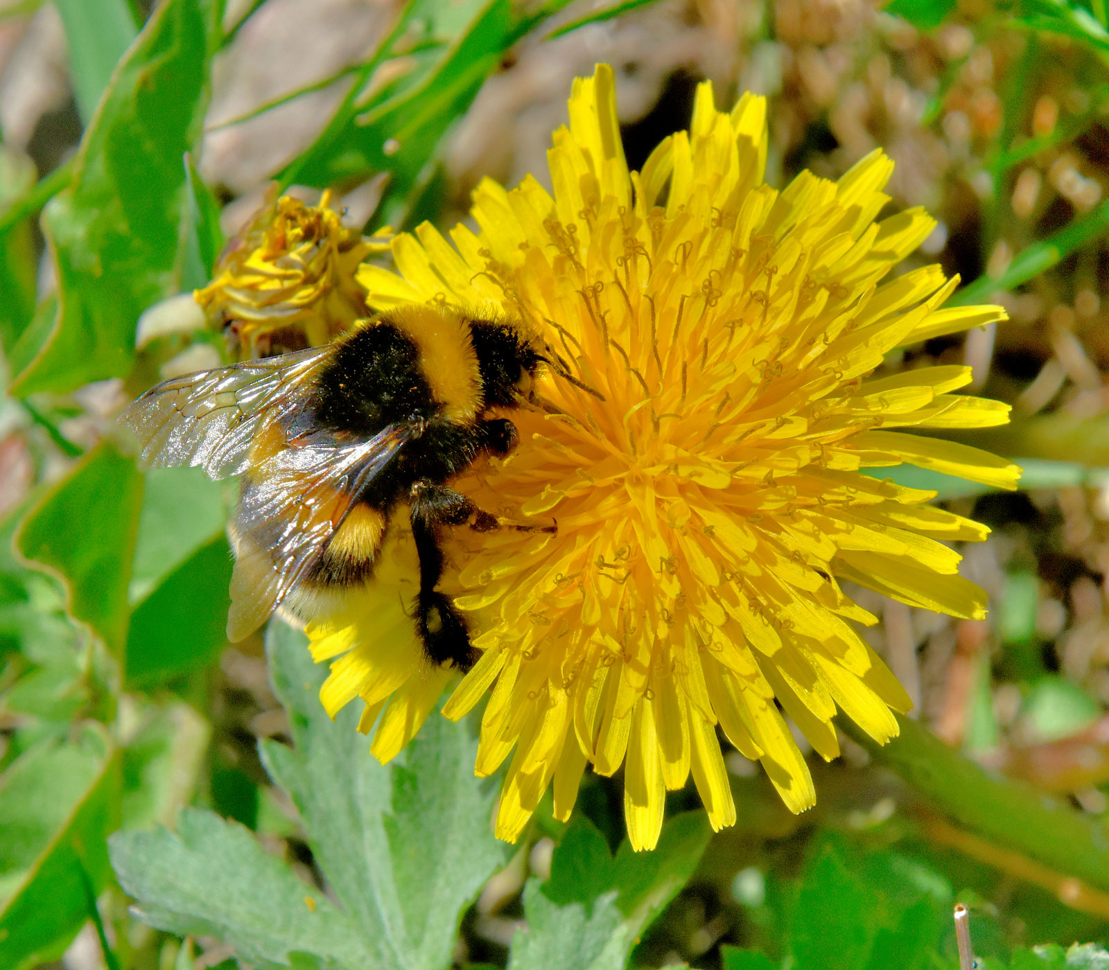 Valokuvaaja: Reijo Juurinen