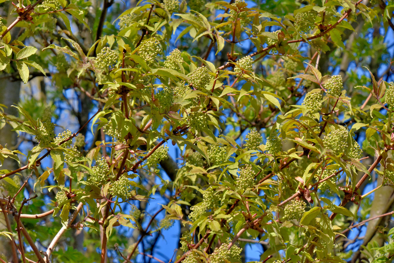 Valokuvaaja: Reijo Juurinen