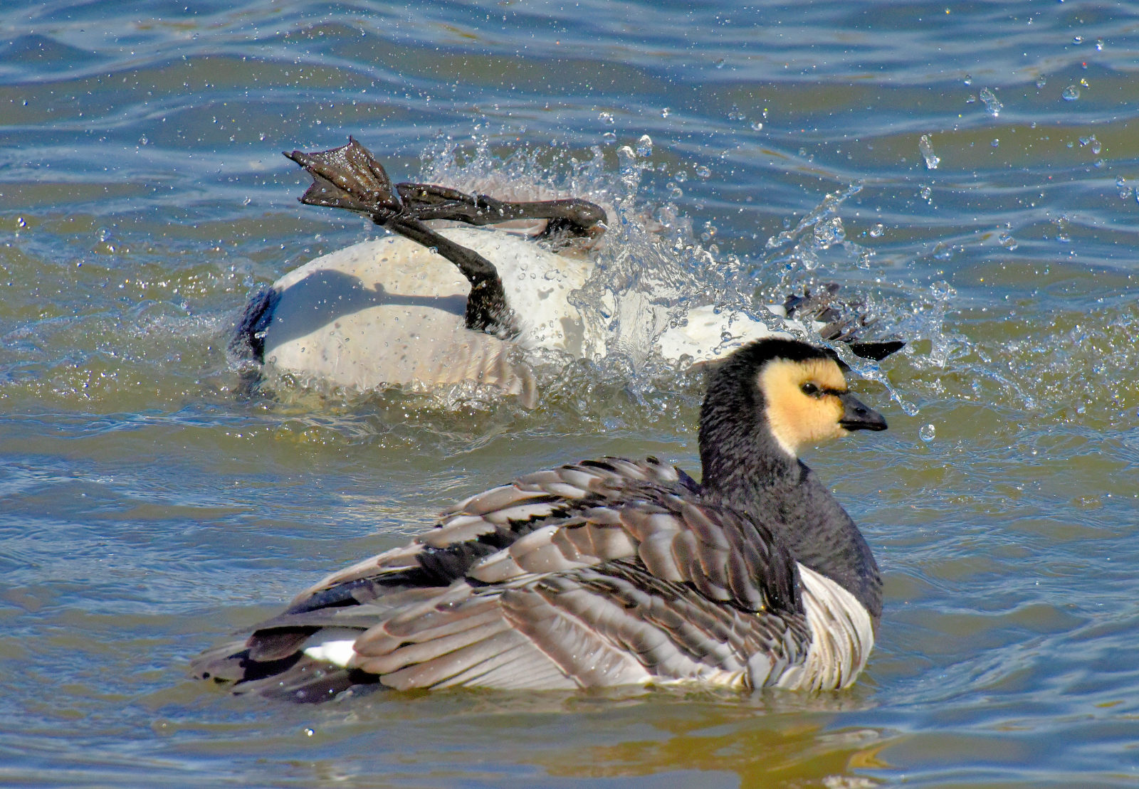 Valokuvaaja: Reijo Juurinen