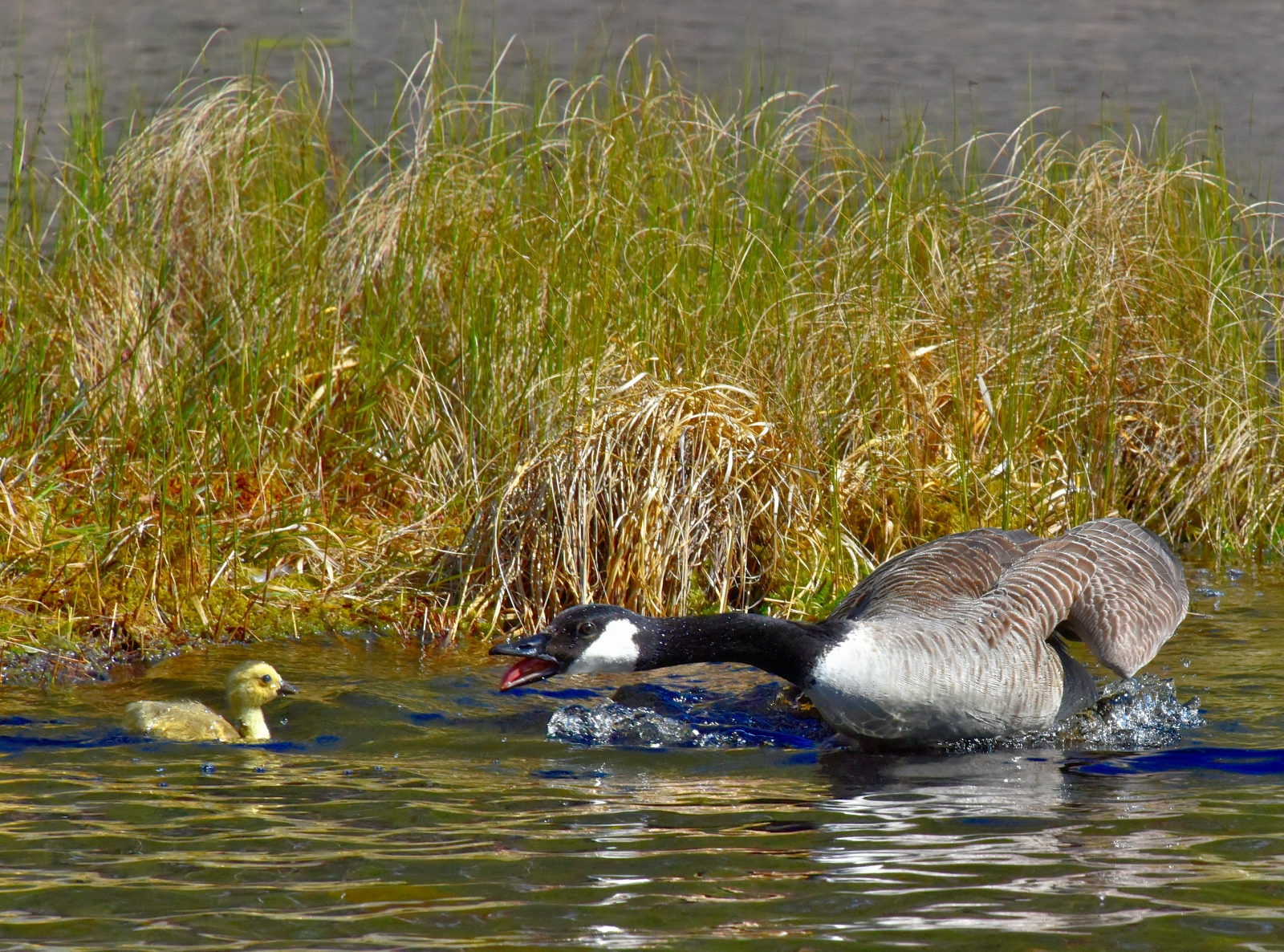 Valokuvaaja: Reijo Juurinen