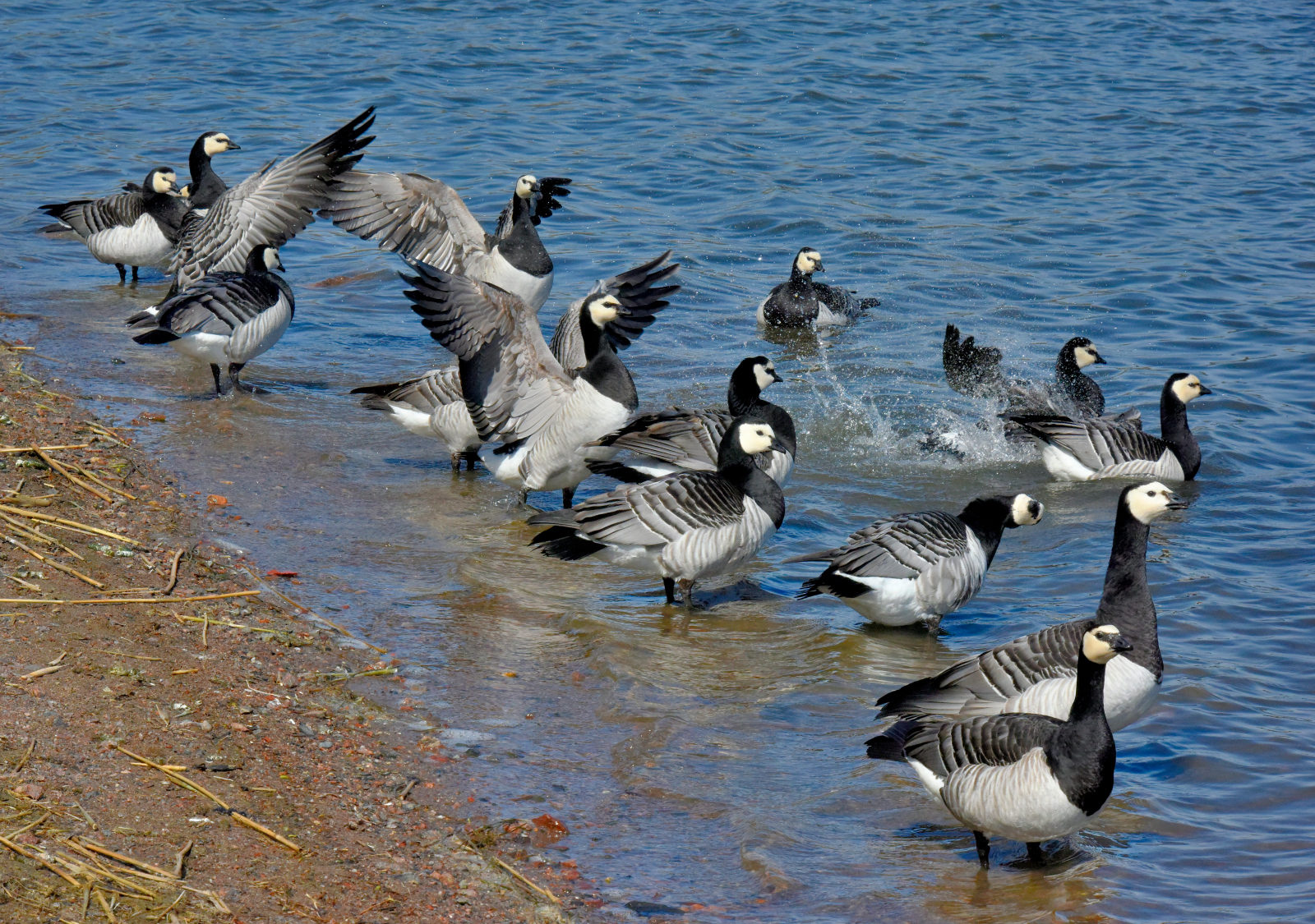 Valokuvaaja: Reijo Juurinen