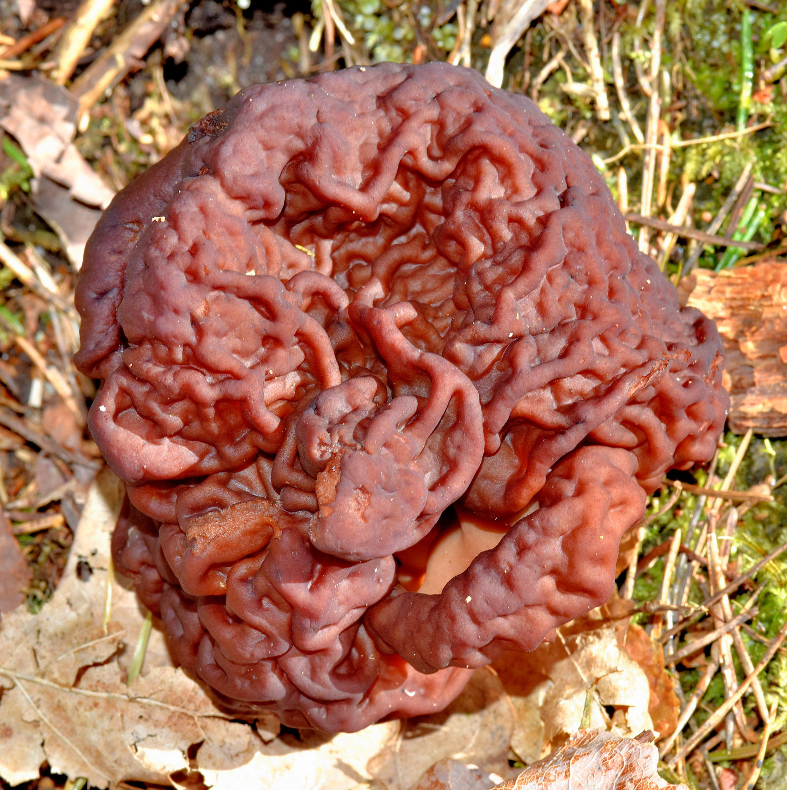 Valokuvaaja: Reijo Juurinen