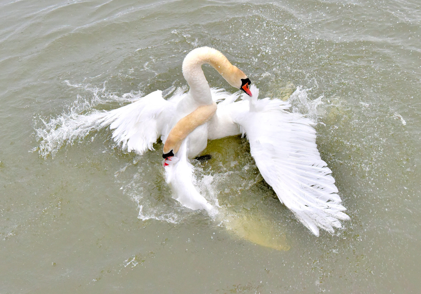 Valokuvaaja: Reijo Juurinen
