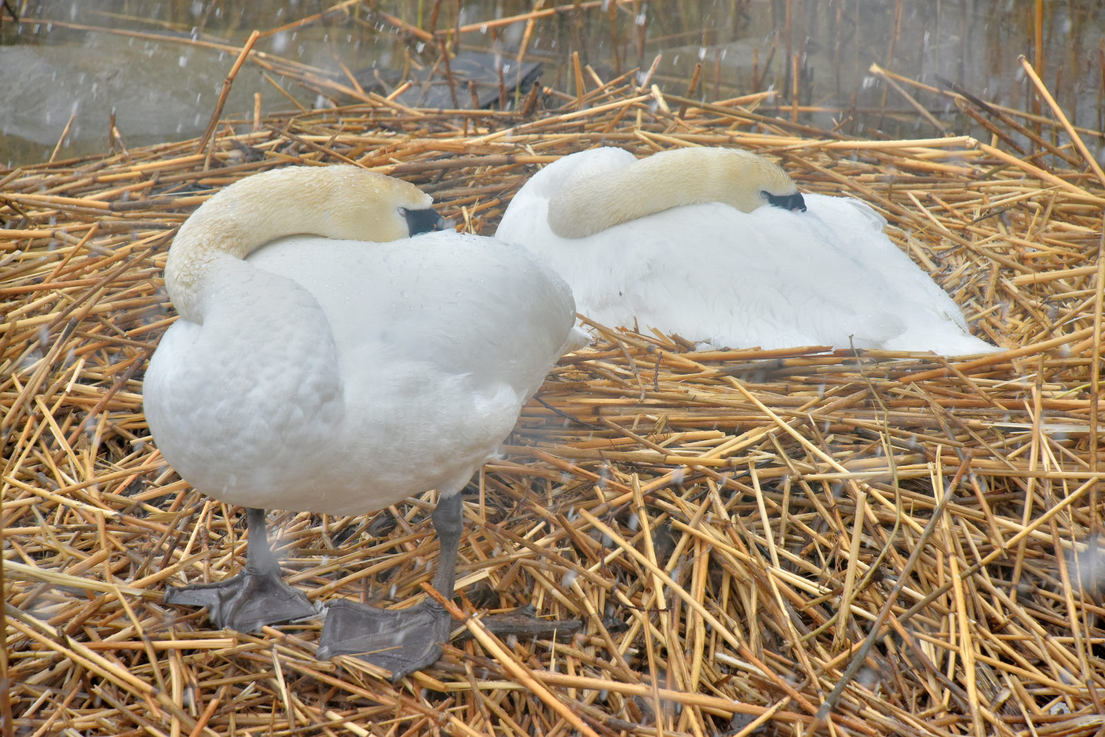 Valokuvaaja: Reijo Juurinen