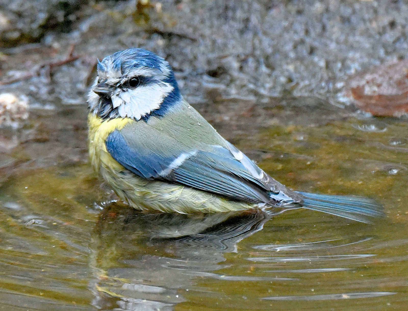 Valokuvaaja: Reijo Juurinen