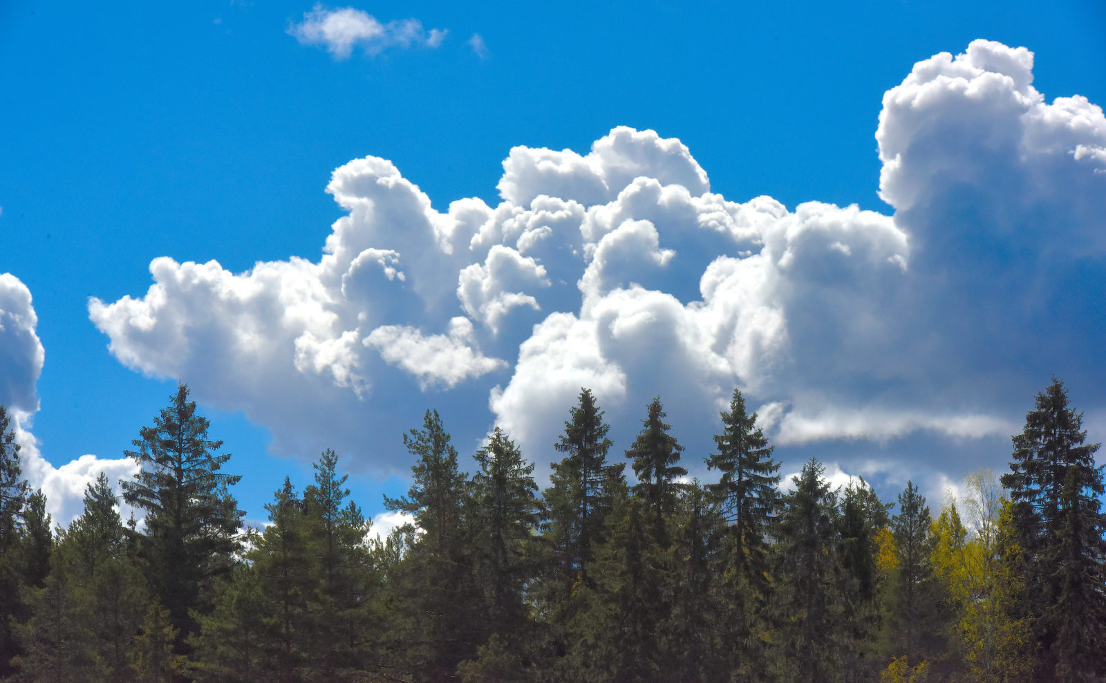 Valokuvaaja: Reijo Juurinen