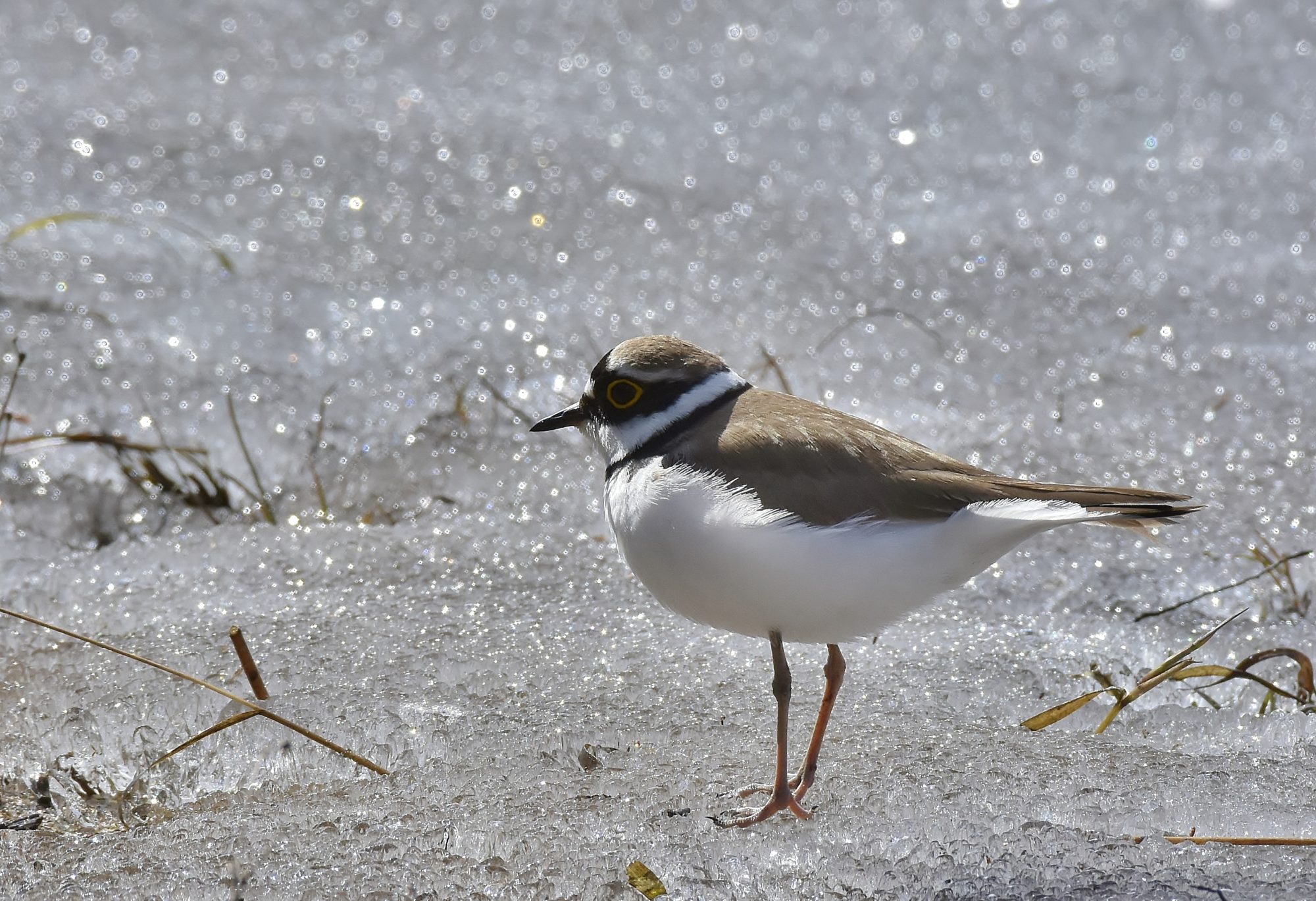 Valokuvaaja: Markku Pelkonen