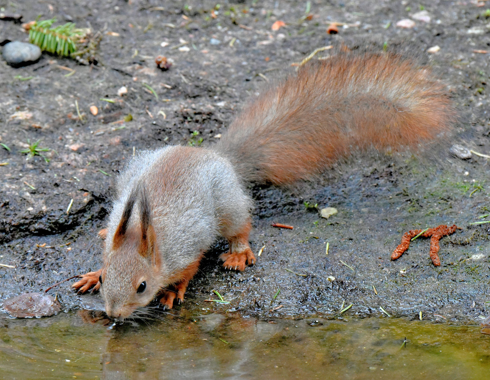 Valokuvaaja: Reijo Juurinen