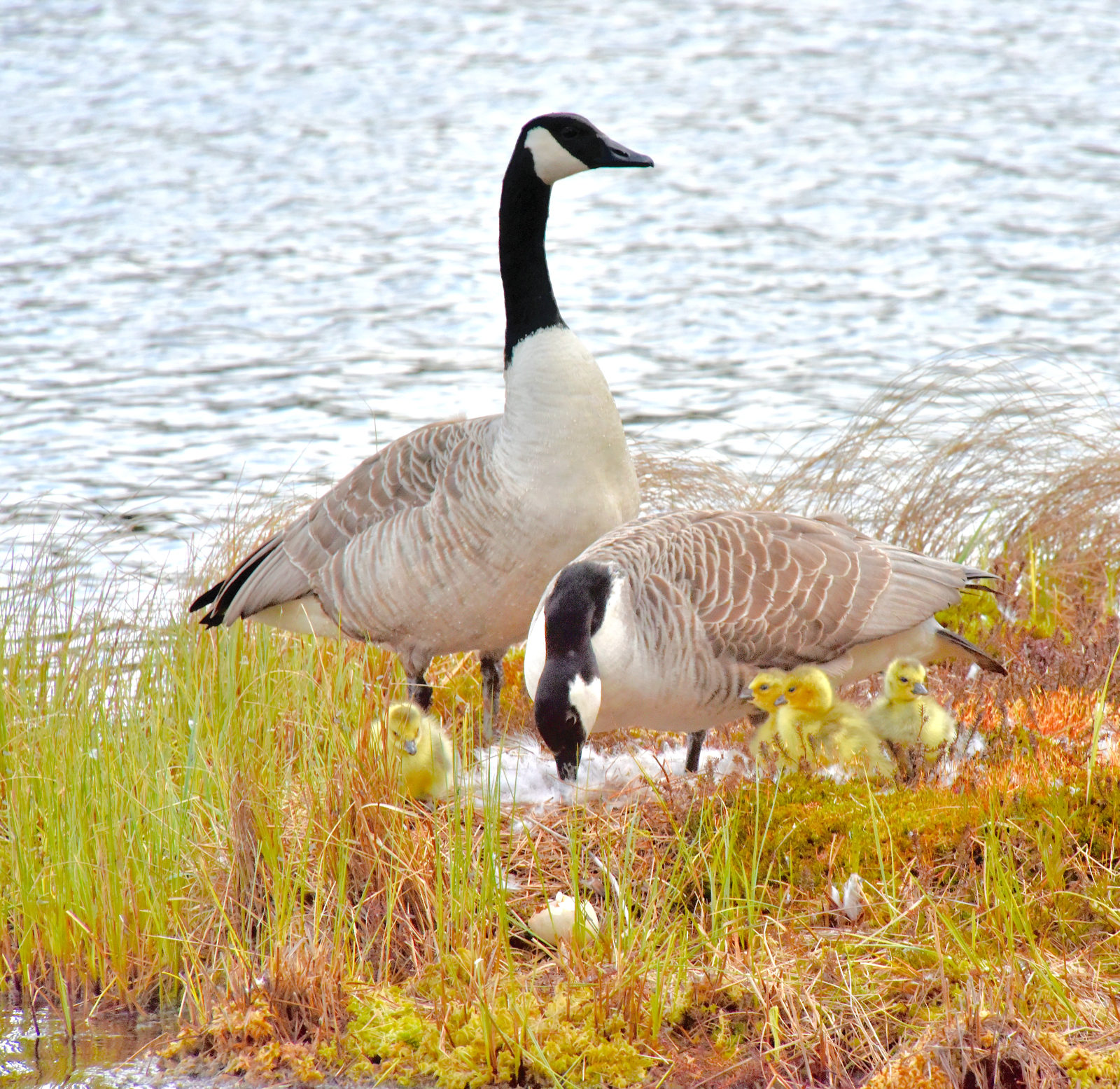 Valokuvaaja: Reijo Juurinen