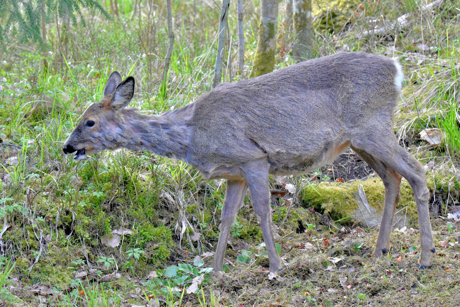 Valokuvaaja: Reijo Juurinen