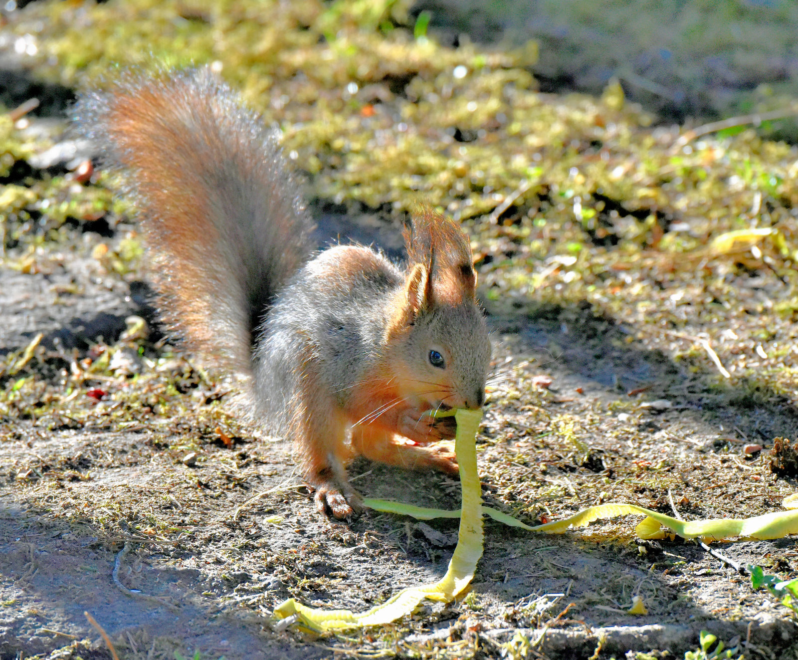 Valokuvaaja: Reijo Juurinen