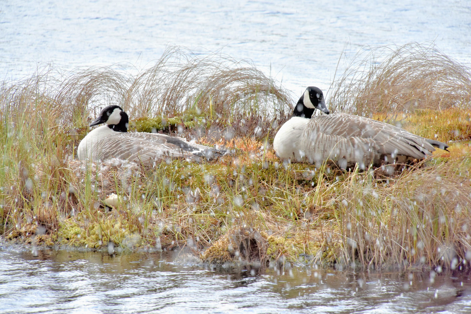 Valokuvaaja: Reijo Juurinen