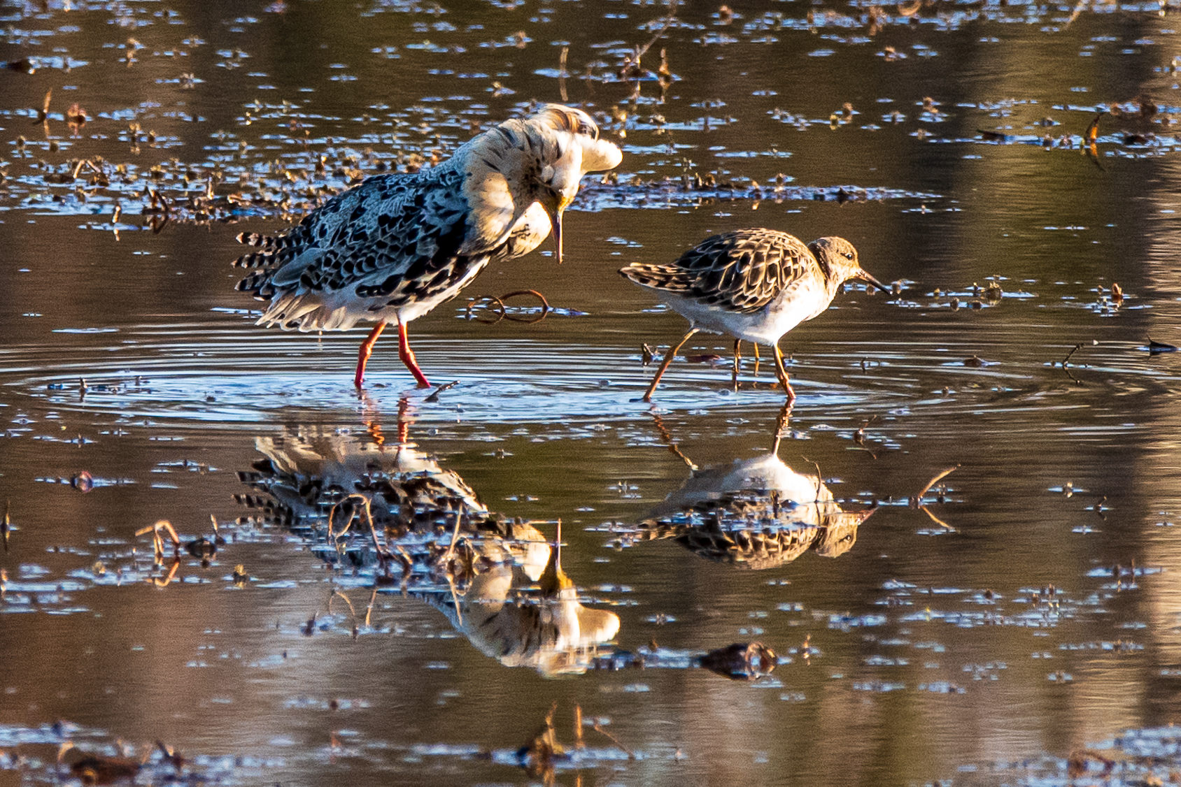 Valokuvaaja: Janne Havu