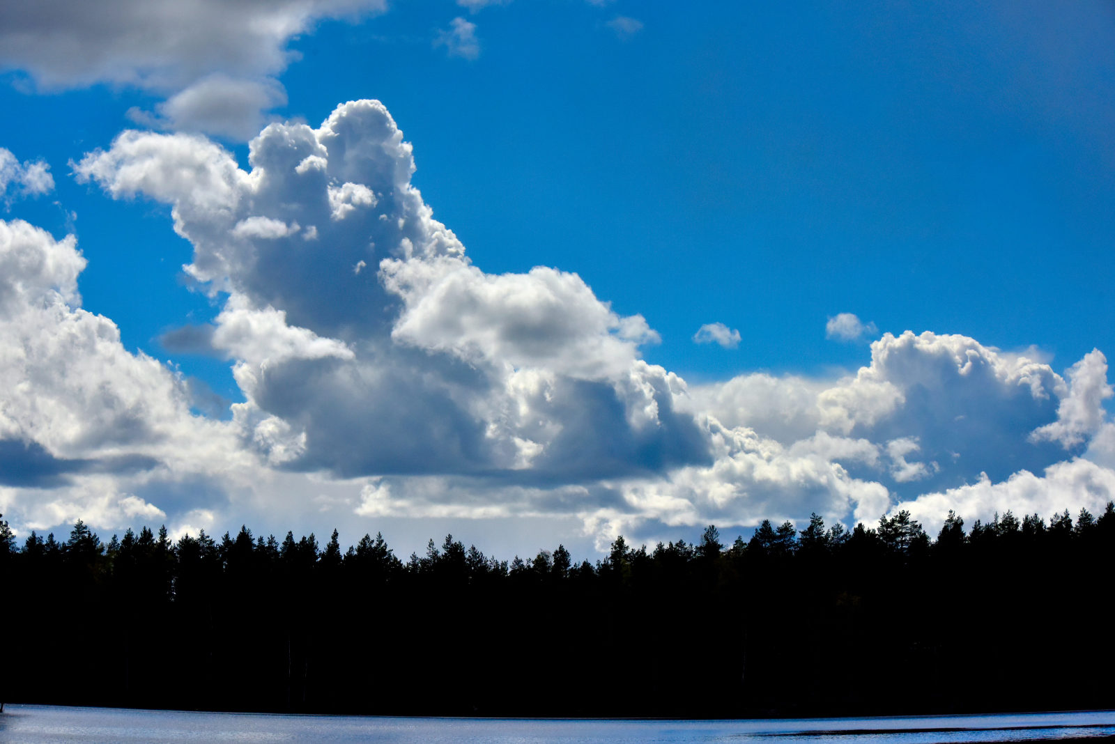 Valokuvaaja: Reijo Juurinen Valokuvaaja: Reijo Juurinen