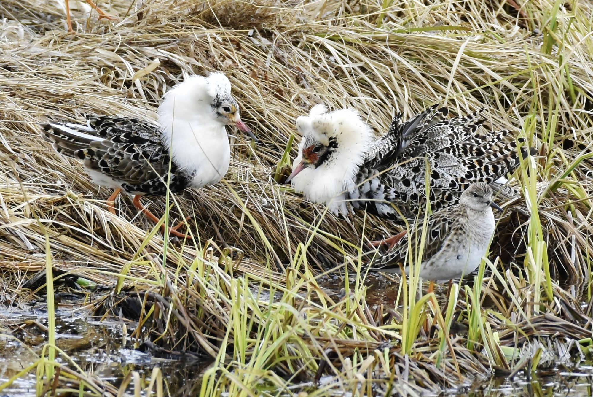 Valokuvaaja: Markku Pelkonen