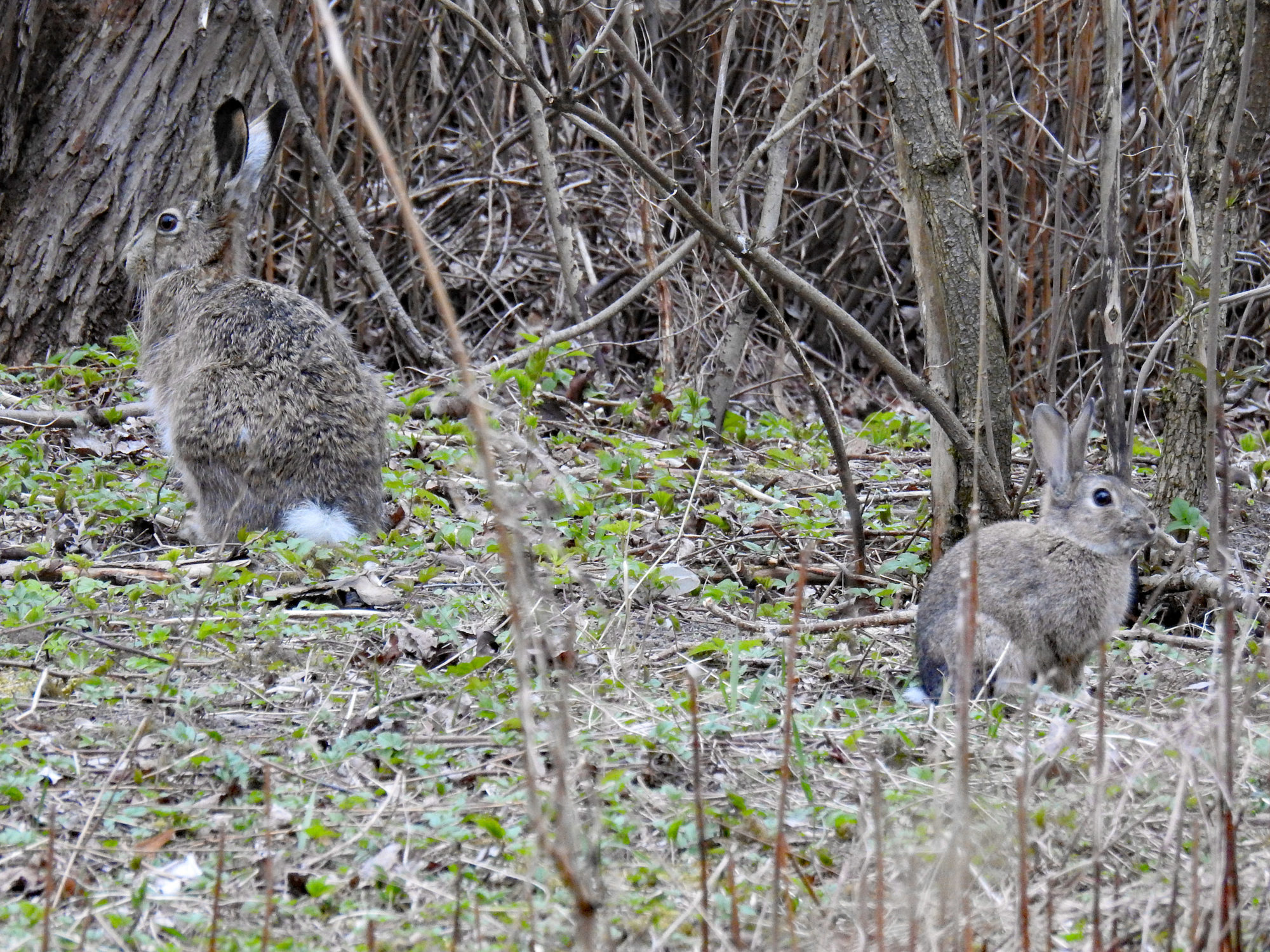Valokuvaaja: Paavo Siukonen