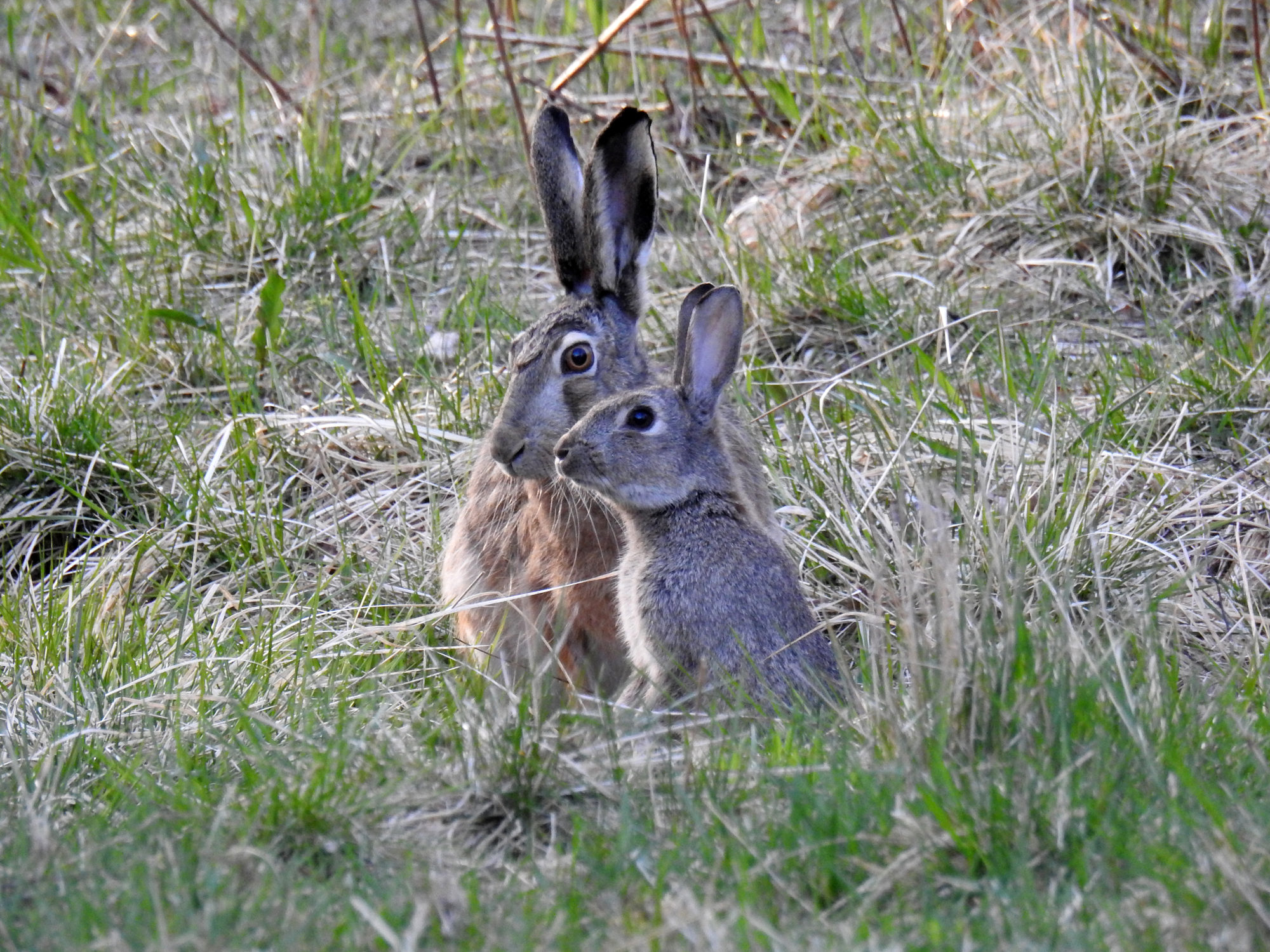 Valokuvaaja: Paavo Siukonen Valokuvaaja: Paavo Siukonen