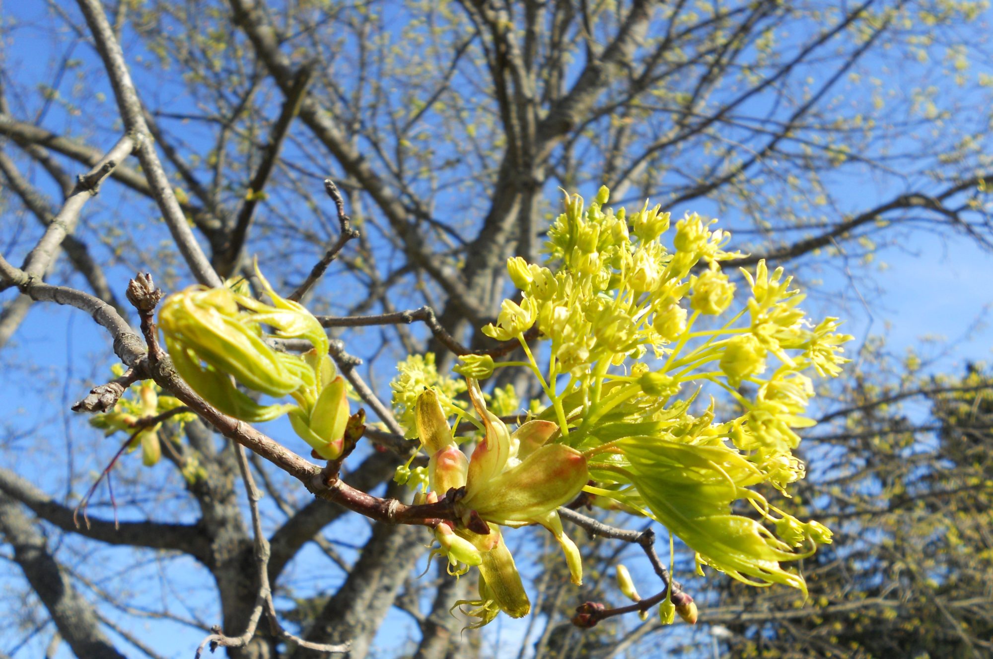 Valokuvaaja: Tiina Arlin