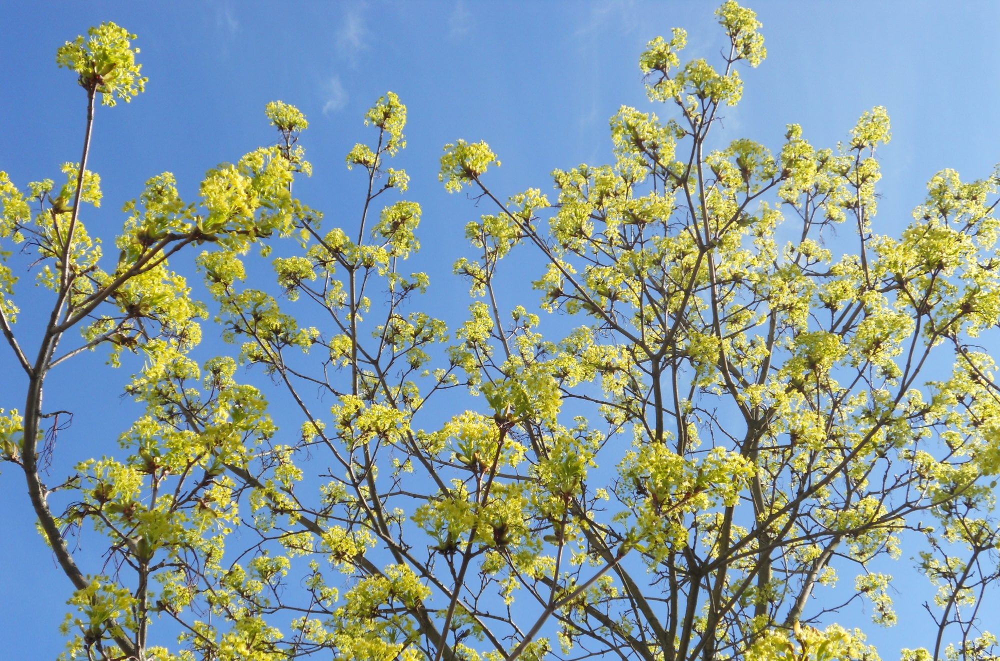 Valokuvaaja: Tiina Arlin Valokuvaaja: Tiina Arlin